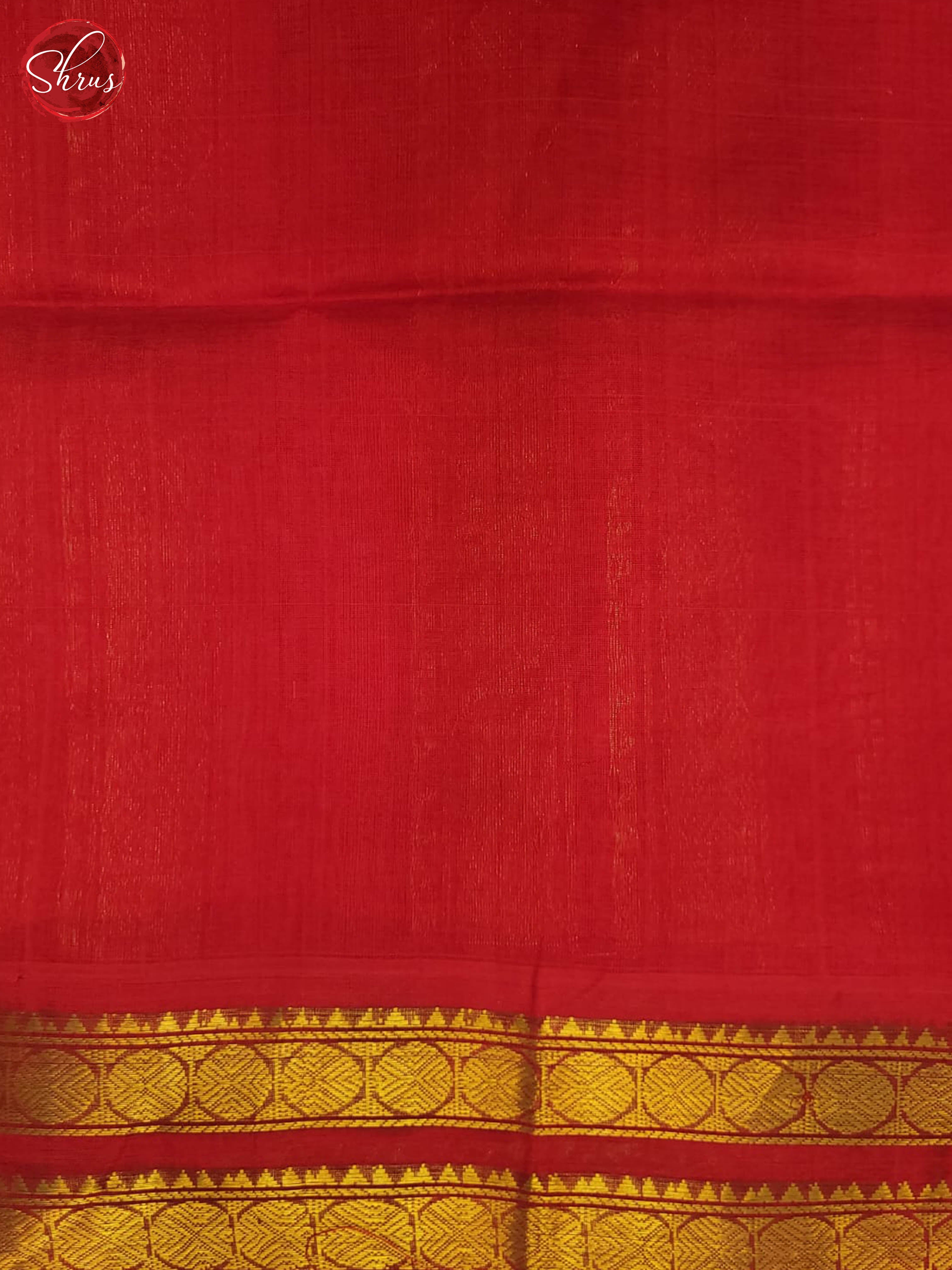 BTS24195 - Silk Cotton Saree - Shop on ShrusEternity.com