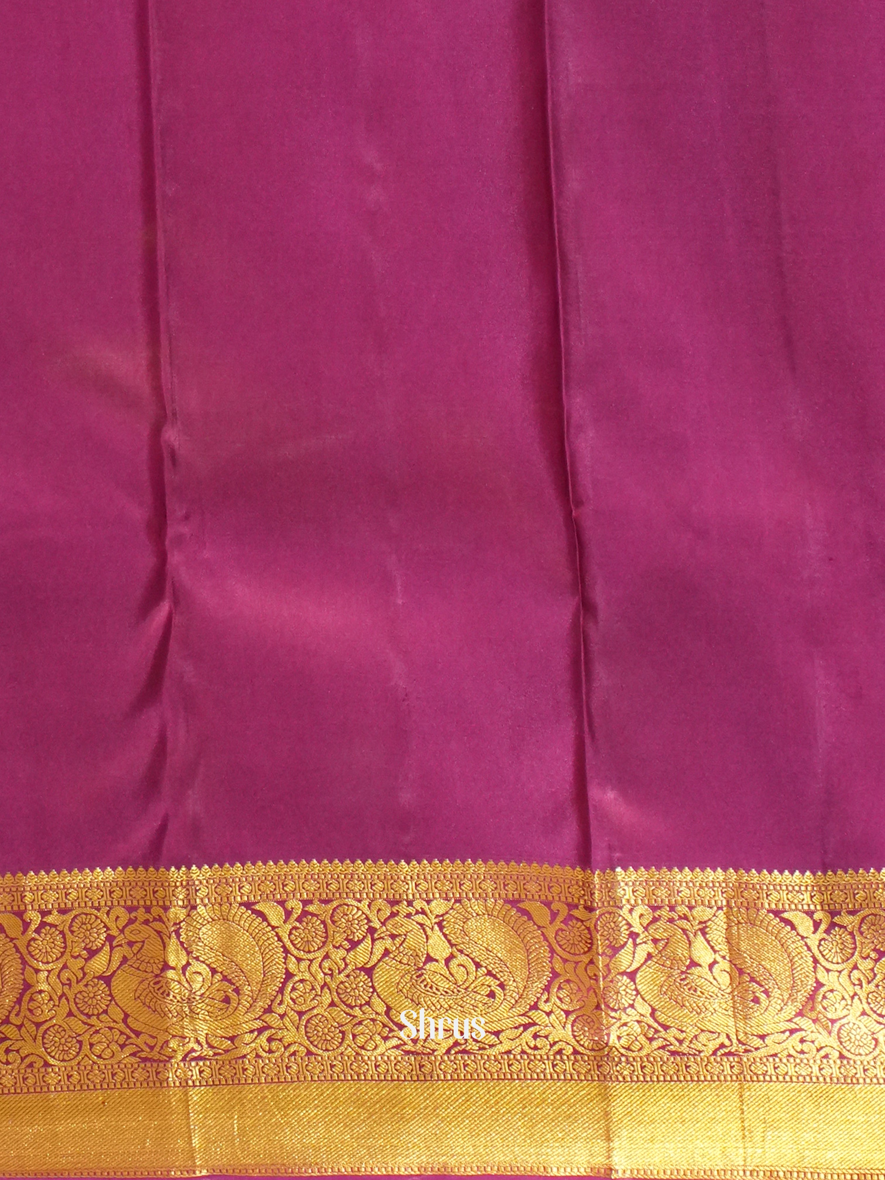 Mustard & Red - Korvai Kanchipuram Silk Saree