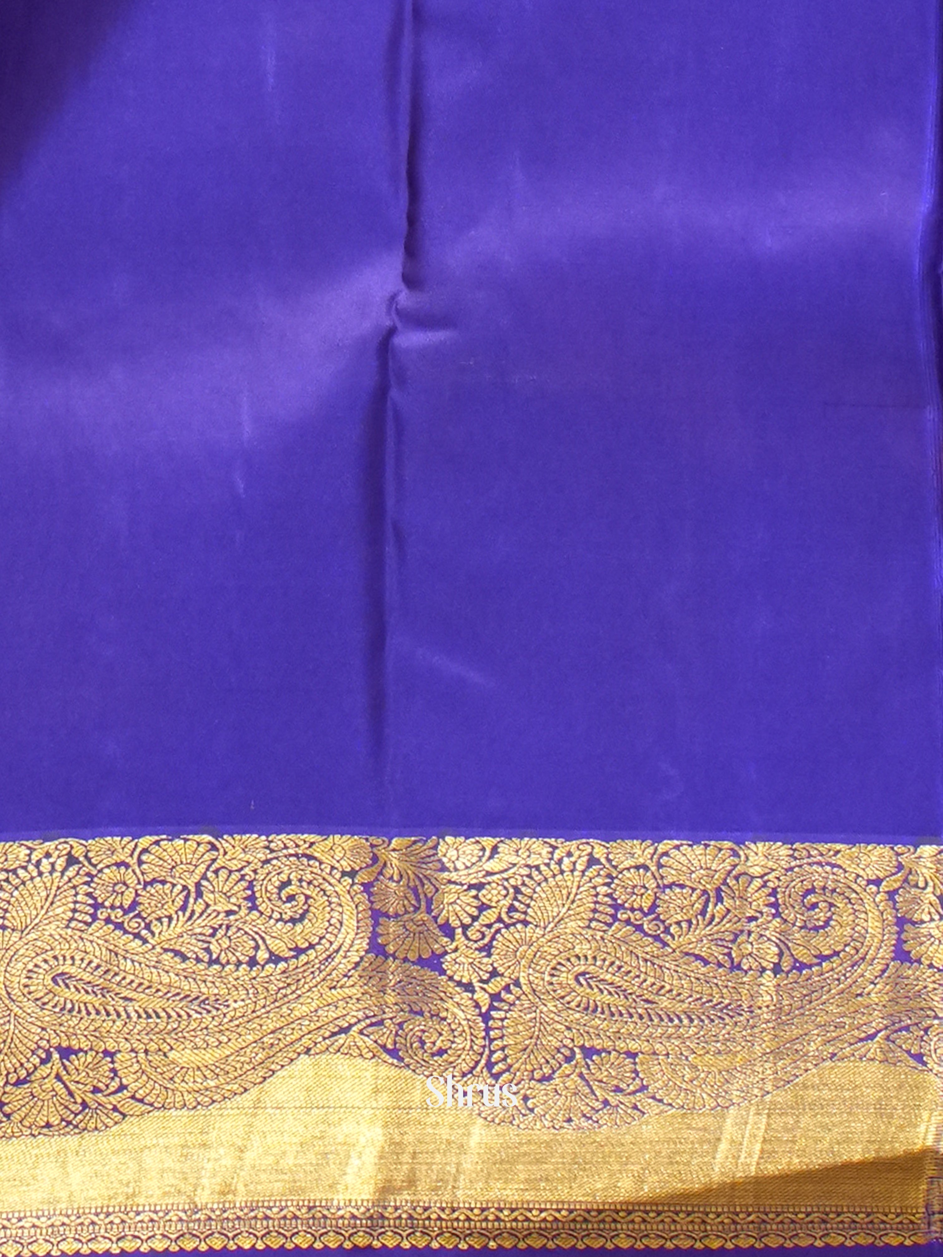 Orangish Pink & Blue - Korvai Kanchipuram Silk with Zari brocade on the body & Zari Border