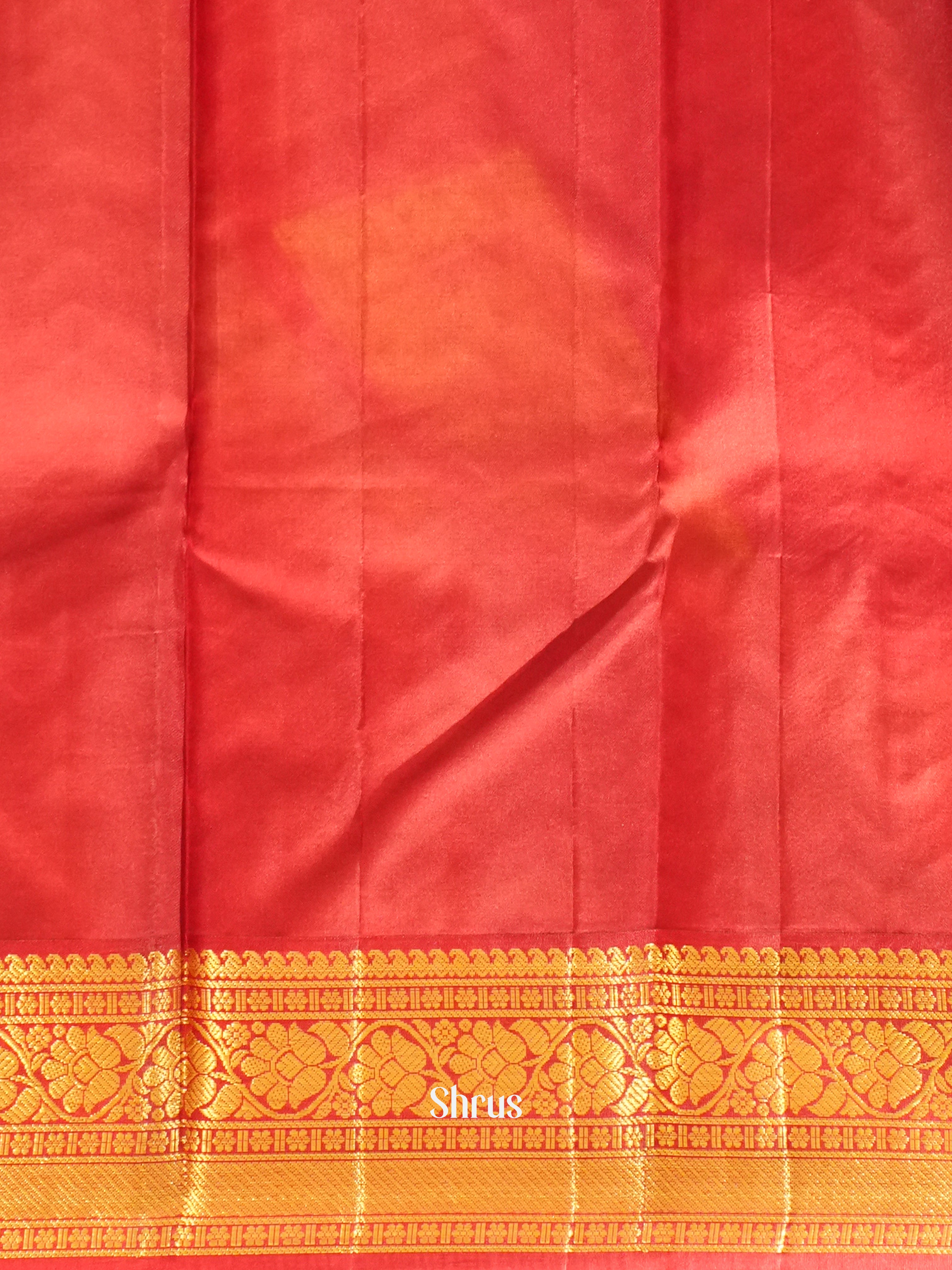 Dark Wine and Maroon - Korvai Kanchipuram Silk Saree with zari buttas on the body and contrast zari border