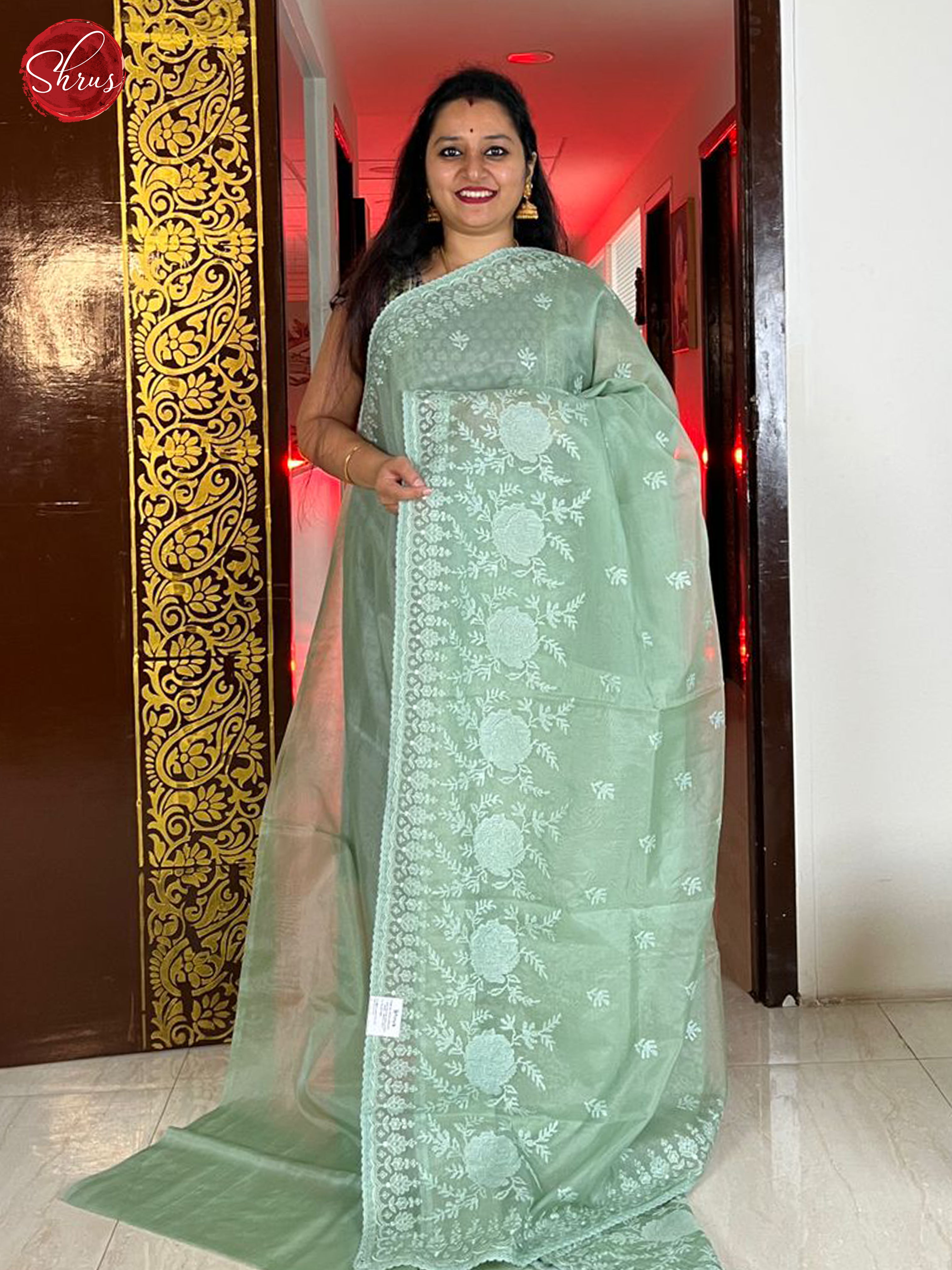 Pista Green(Single Tone)- Semi organza Saree - Shop on ShrusEternity.com