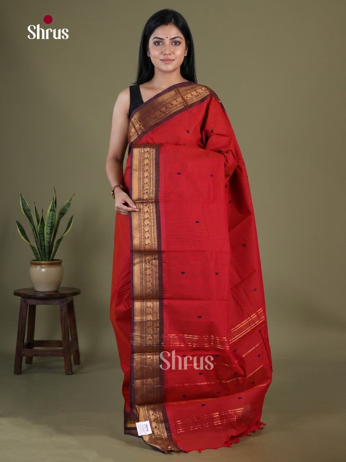 Chettinad Cotton Saree - EGS04002 - Shop on Shrus.com