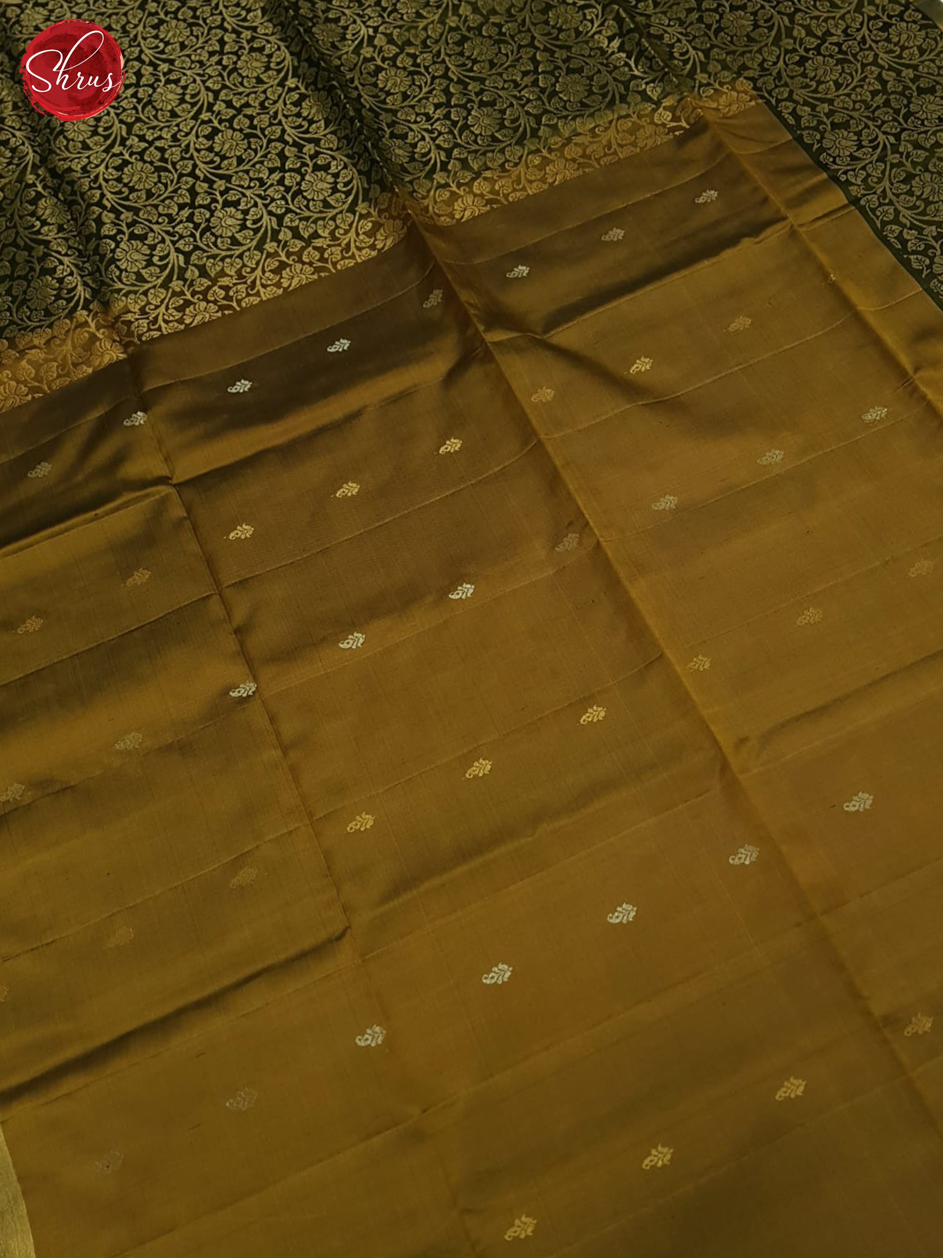 Golden Brown And Green-Soft silk saree - Shop on ShrusEternity.com