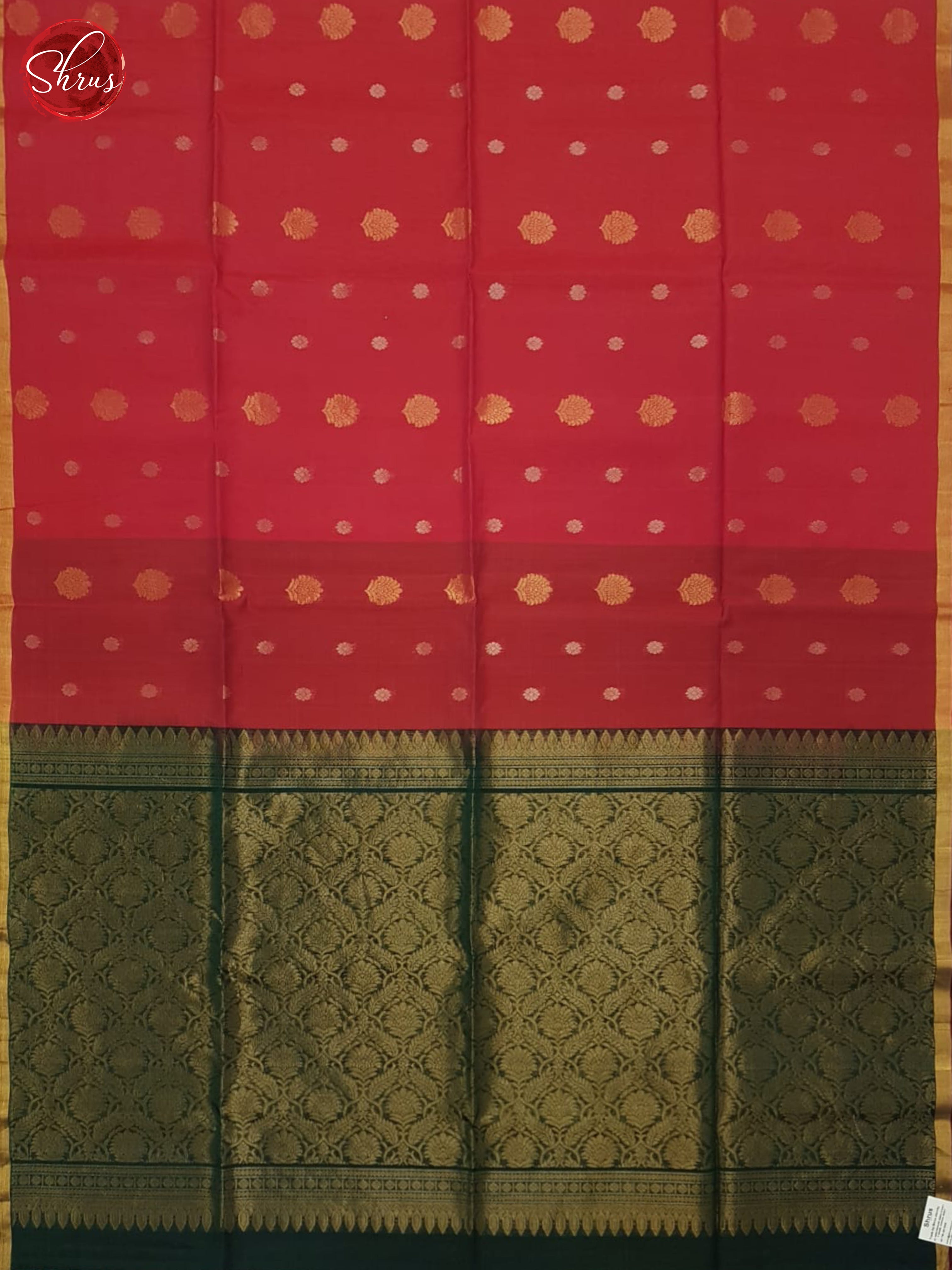 Red And Green- Silk Cotton Saree - Shop on ShrusEternity.com