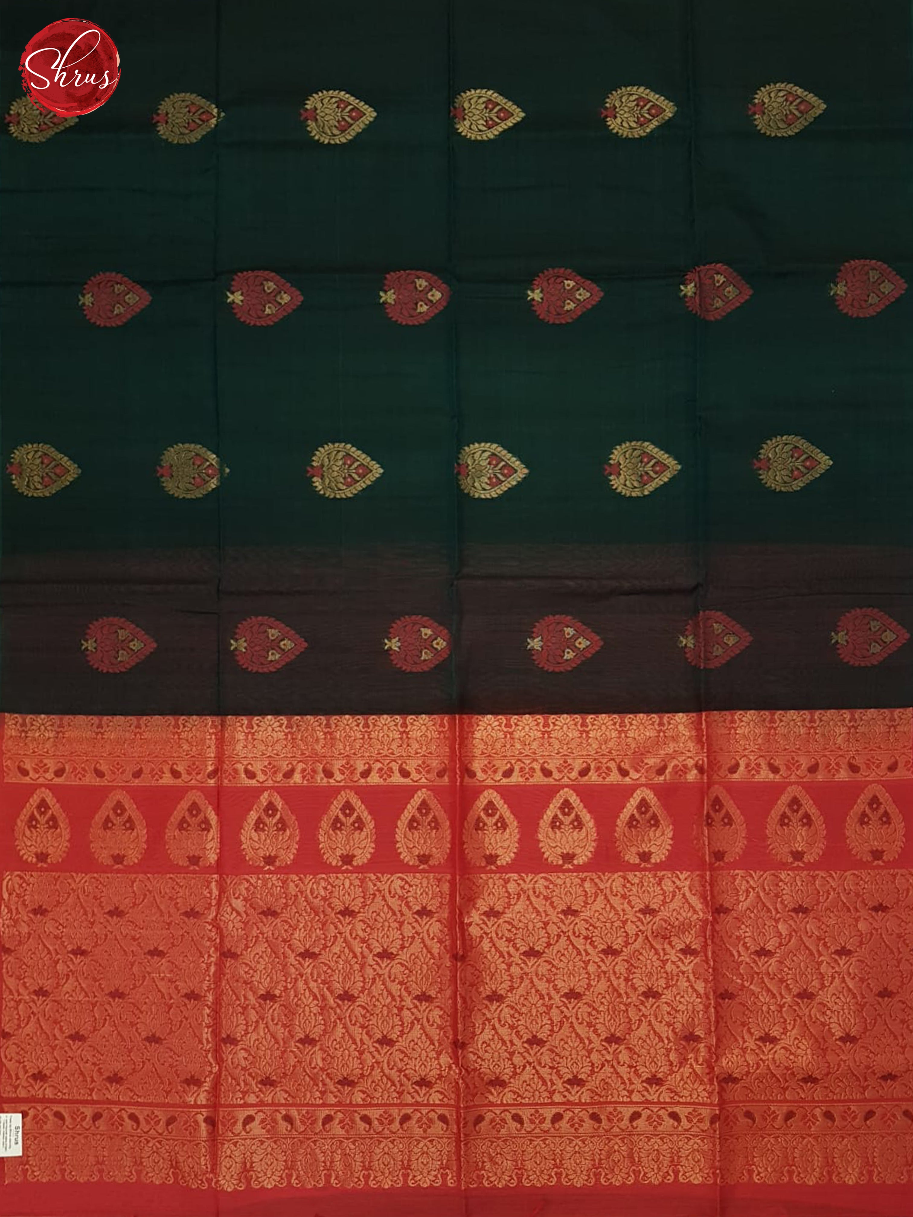 Green And Pink- Silk Cotton Saree - Shop on ShrusEternity.com