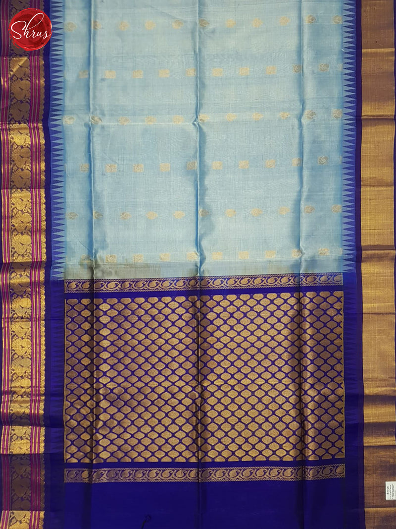 Light Blue And Blue- Silk cotton saree - Shop on ShrusEternity.com