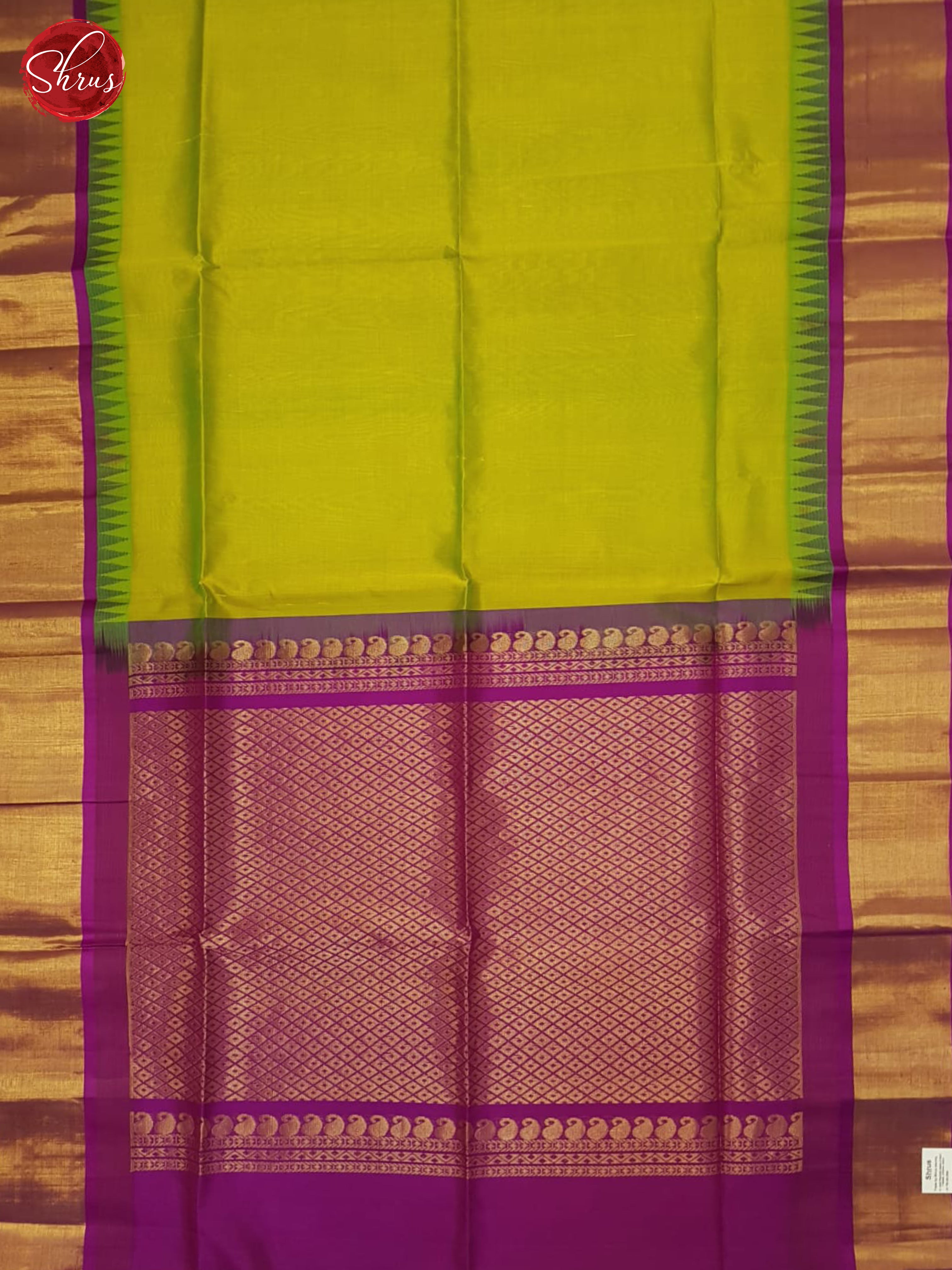 Green And Pink- Silk Cotton Saree - Shop on ShrusEternity.com