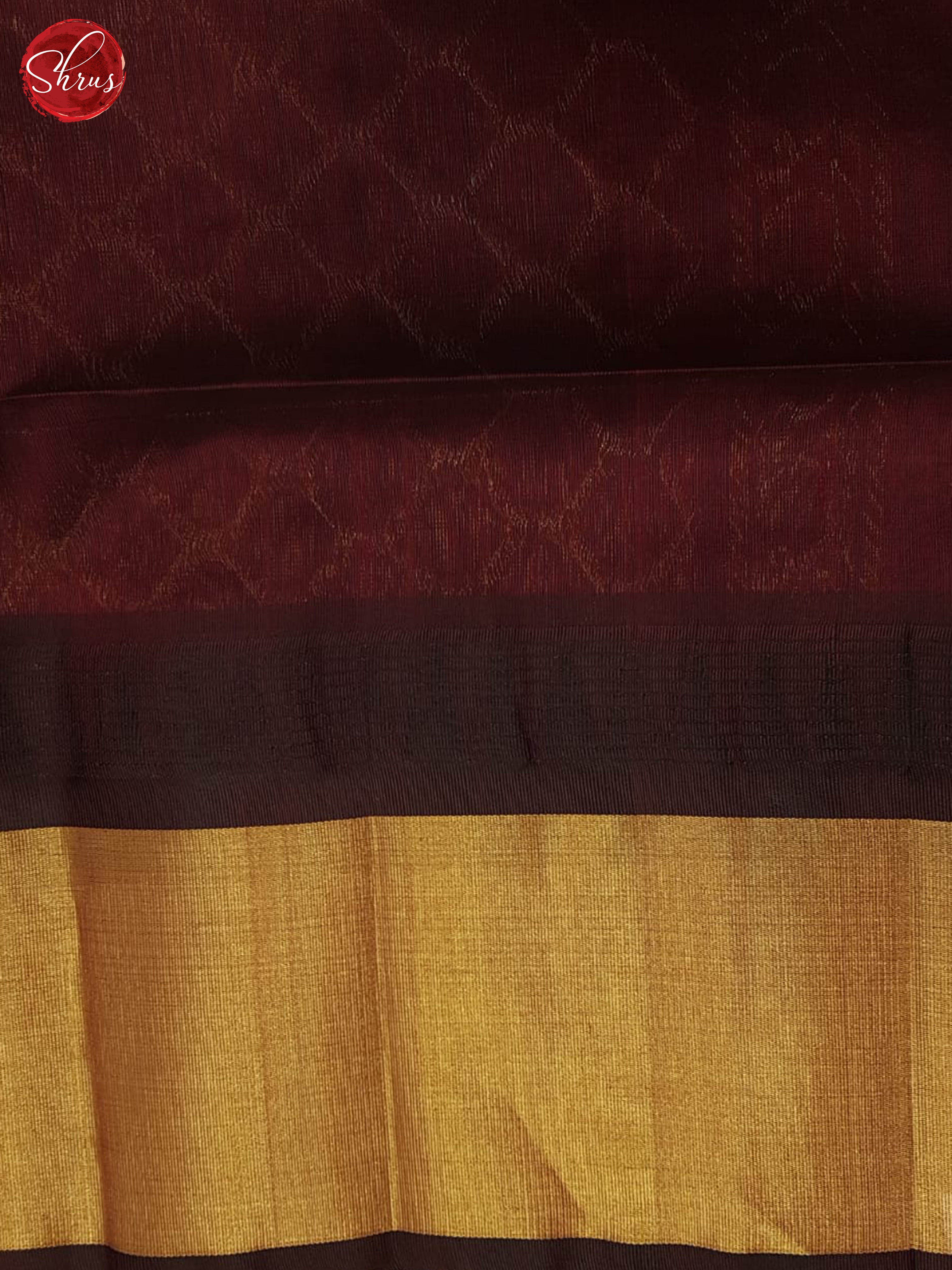 Cream And Brown- Silk Cotton Saree - Shop on ShrusEternity.com