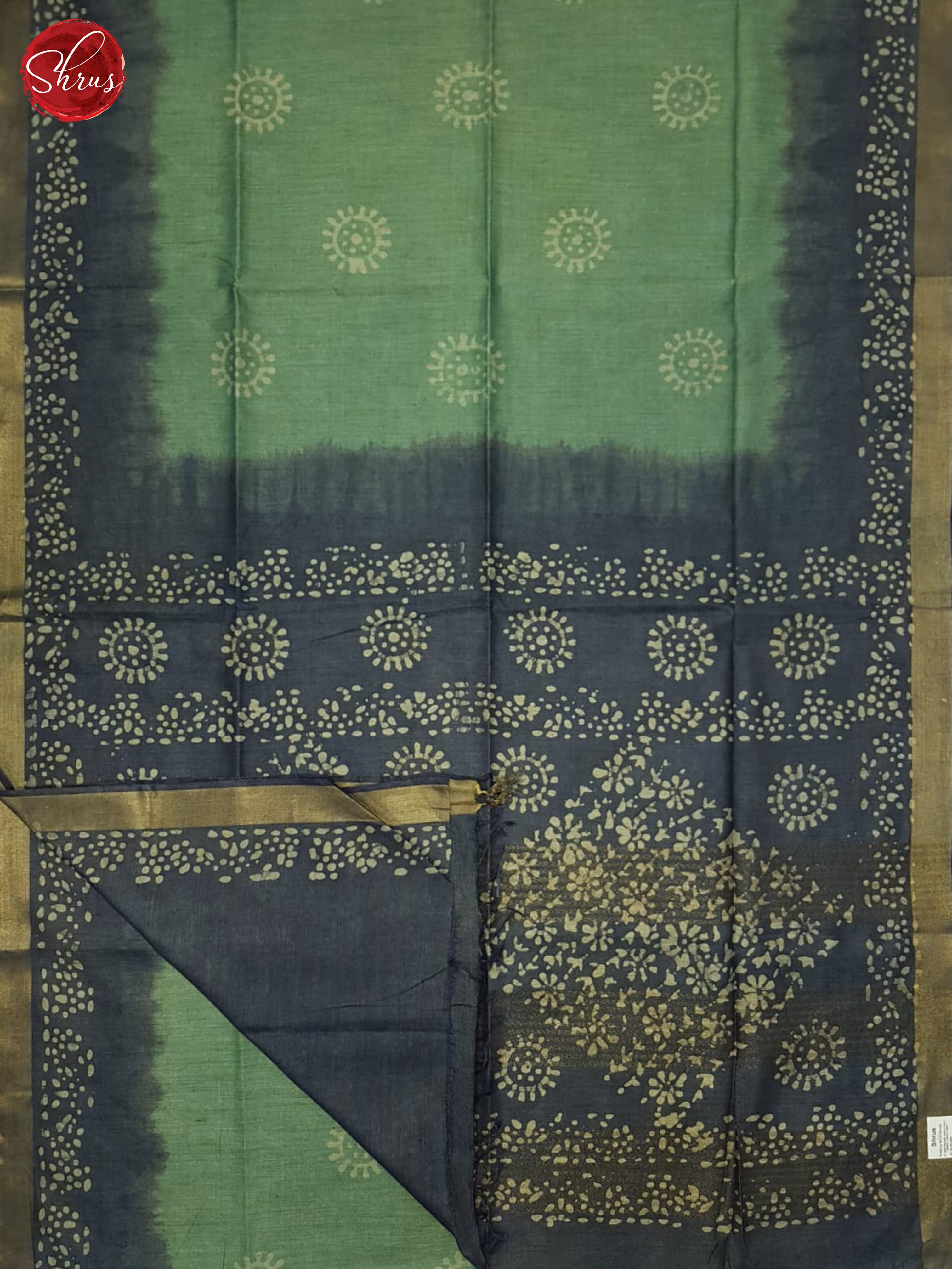 Green And Blue- Bhatik Saree - Shop on ShrusEternity.com