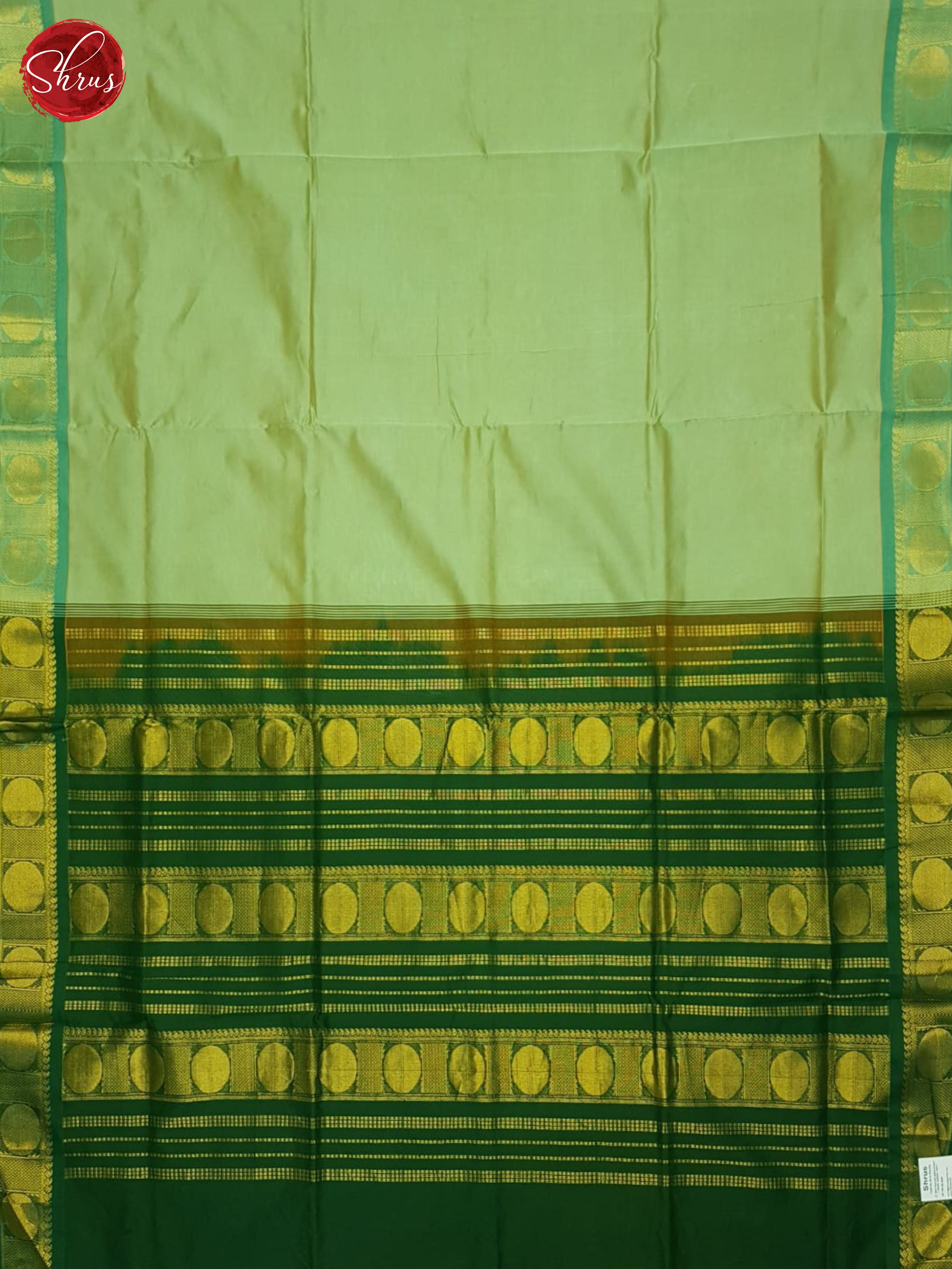 Pista Green & Green - Silk Cotton Half-pure Saree - Shop on ShrusEternity.com