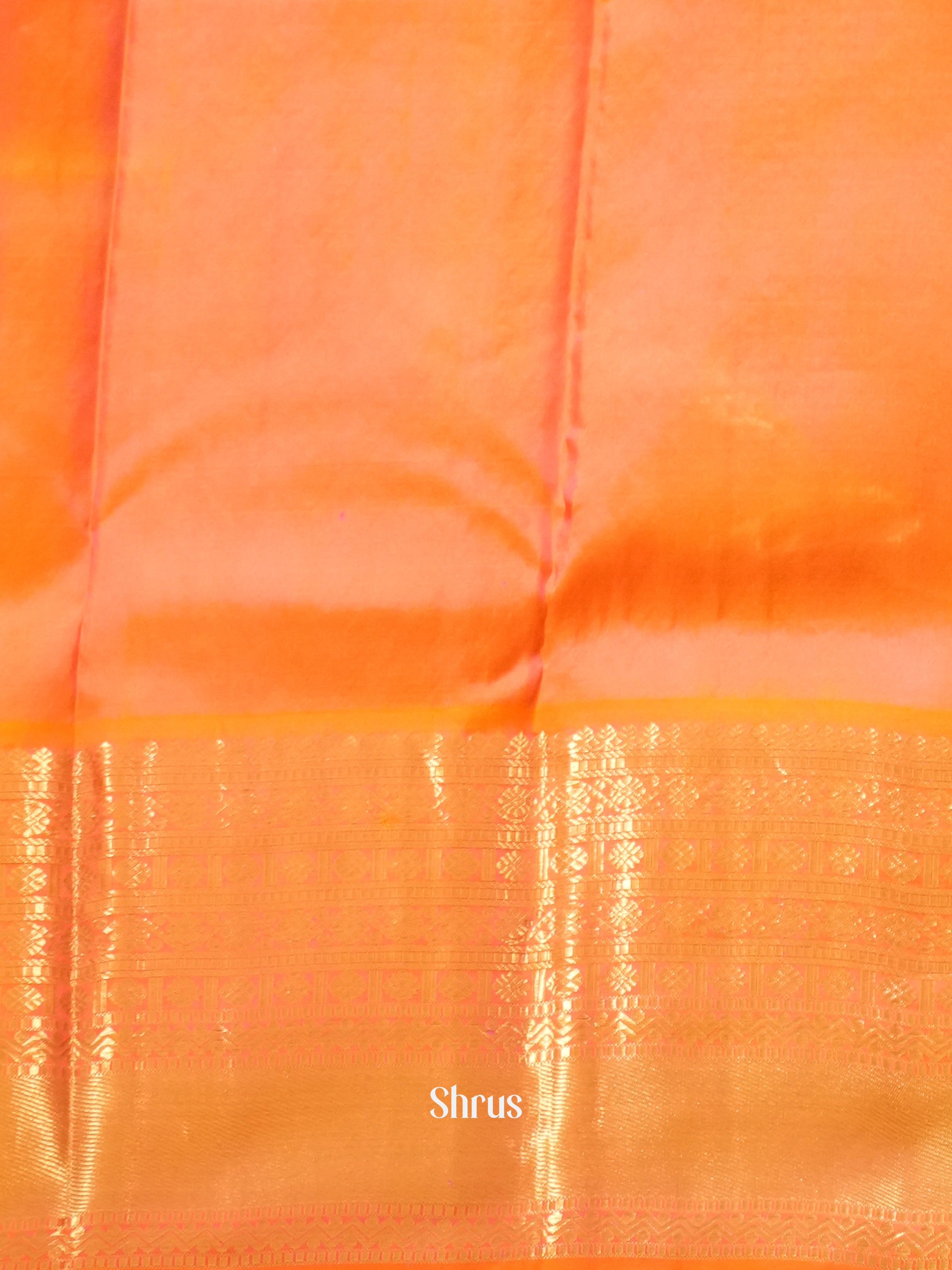 Peacock Neck & Orange - Korvai Kanchipuram Silk Saree