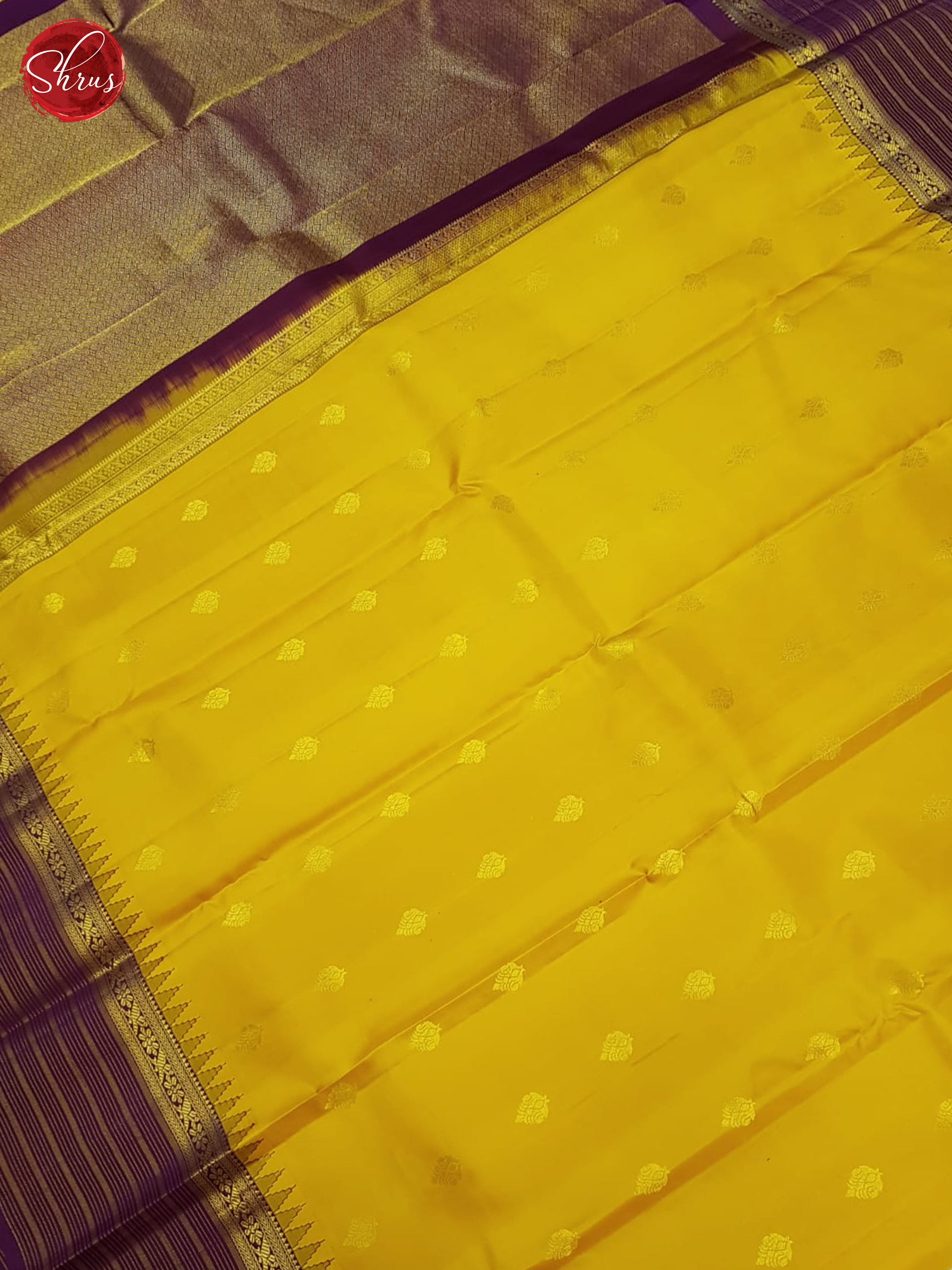 Mustard And Wine- Kanchipuram Silk Saree - Shop on ShrusEternity.com