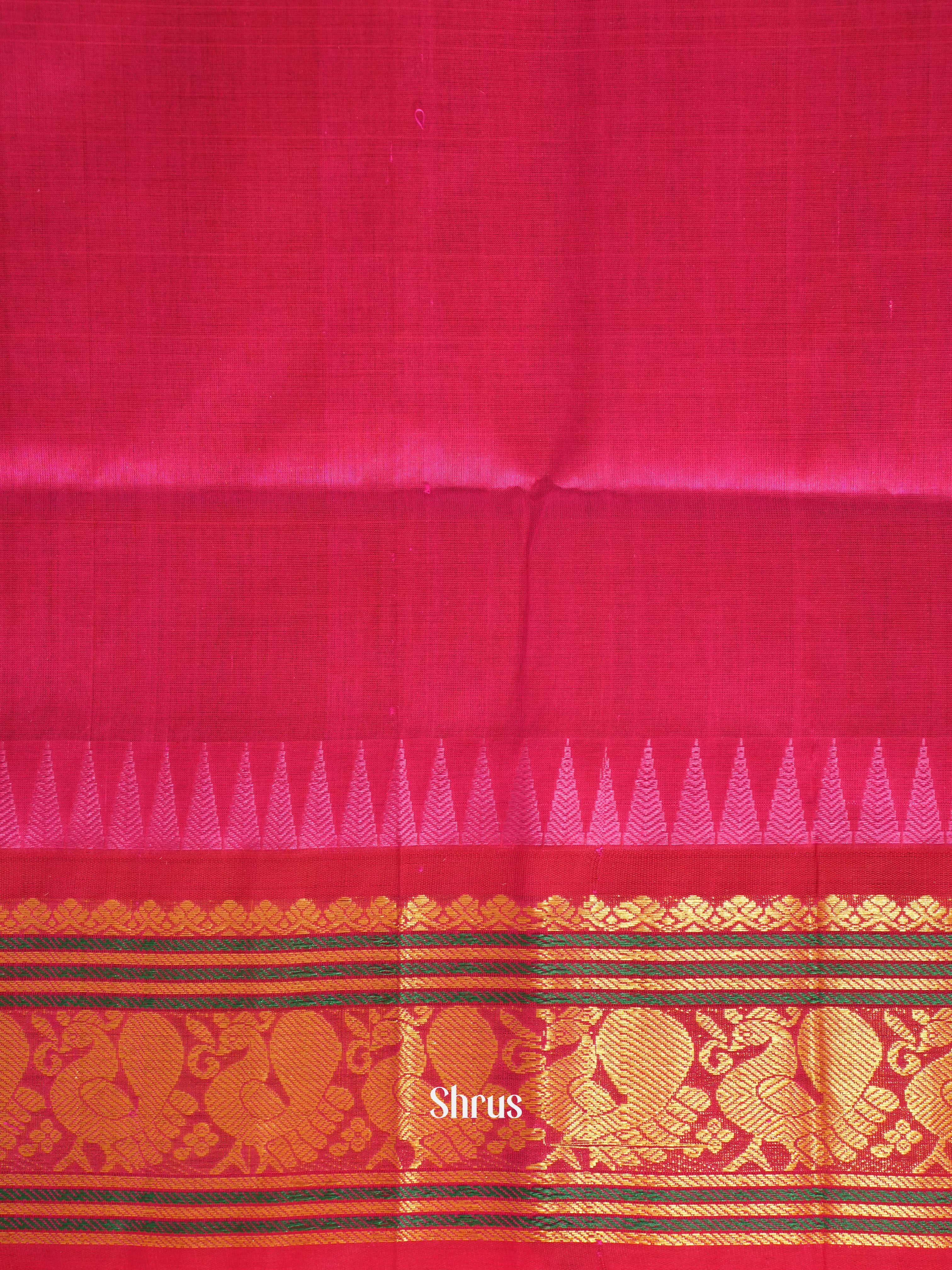 Green and pink-Silk Cotton saree