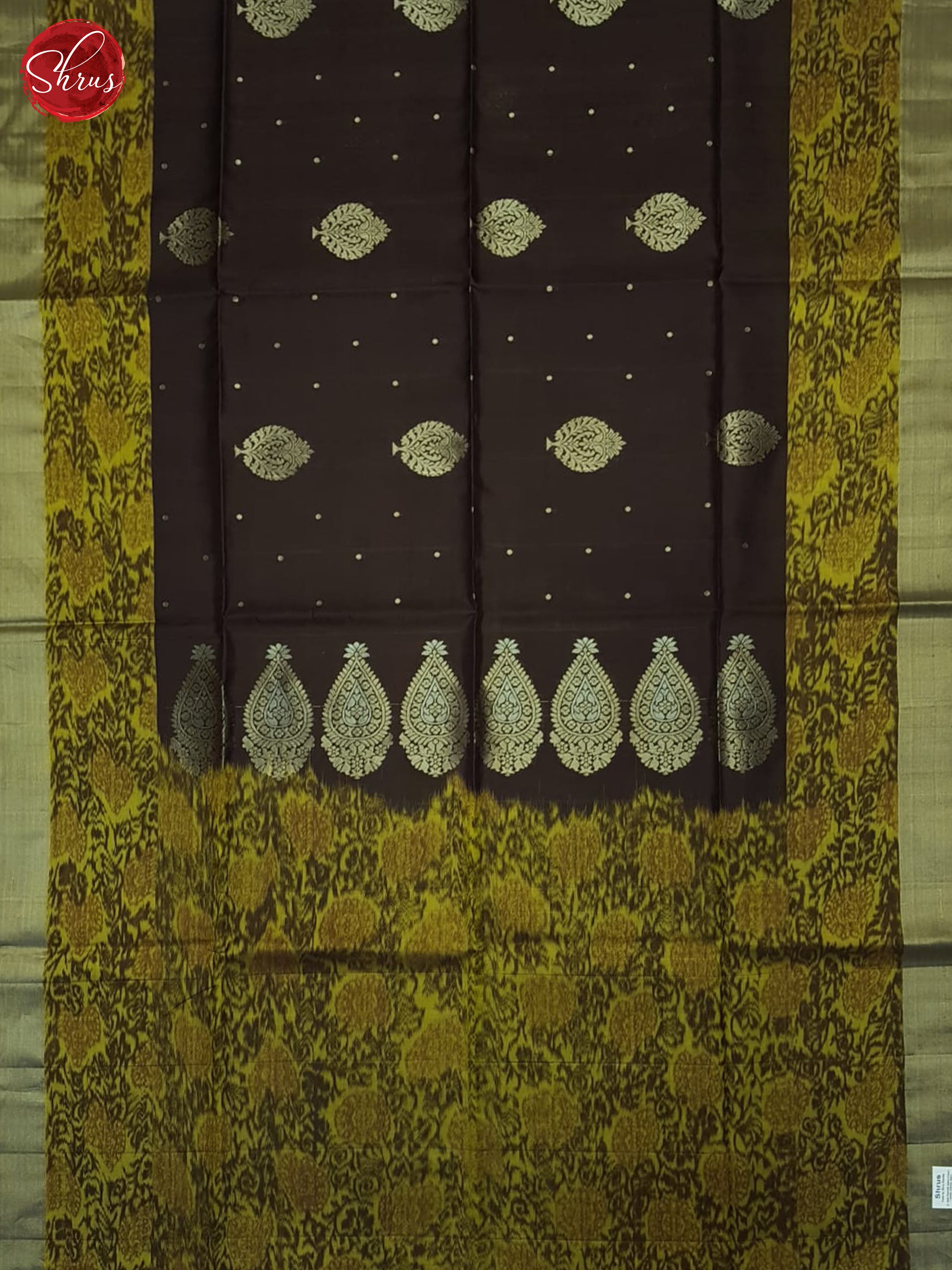 Brown And Mustard-Soft Silk Saree - Shop on ShrusEternity.com