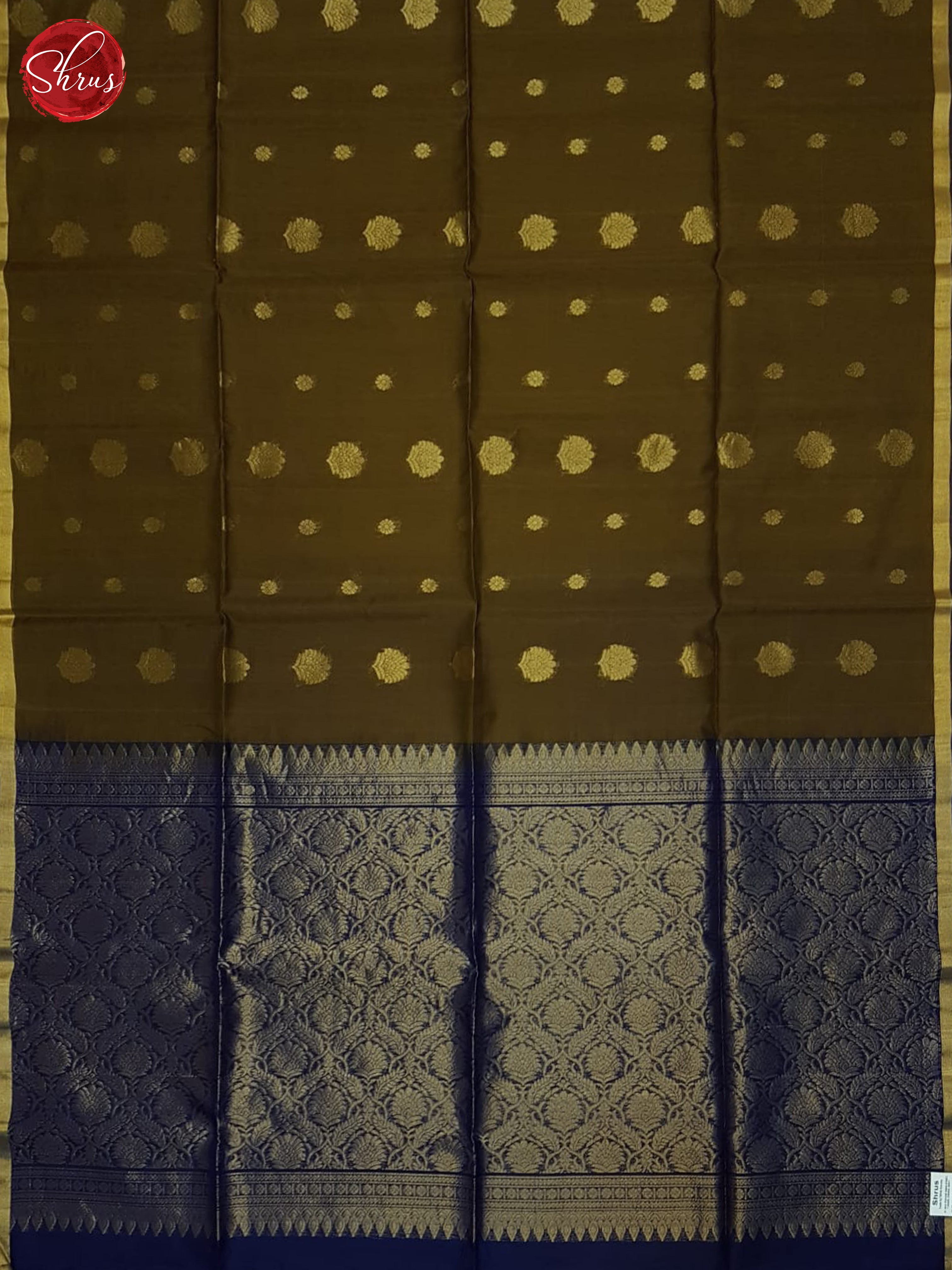 Brown & Blue - Silk Cotton Saree - Shop on ShrusEternity.com