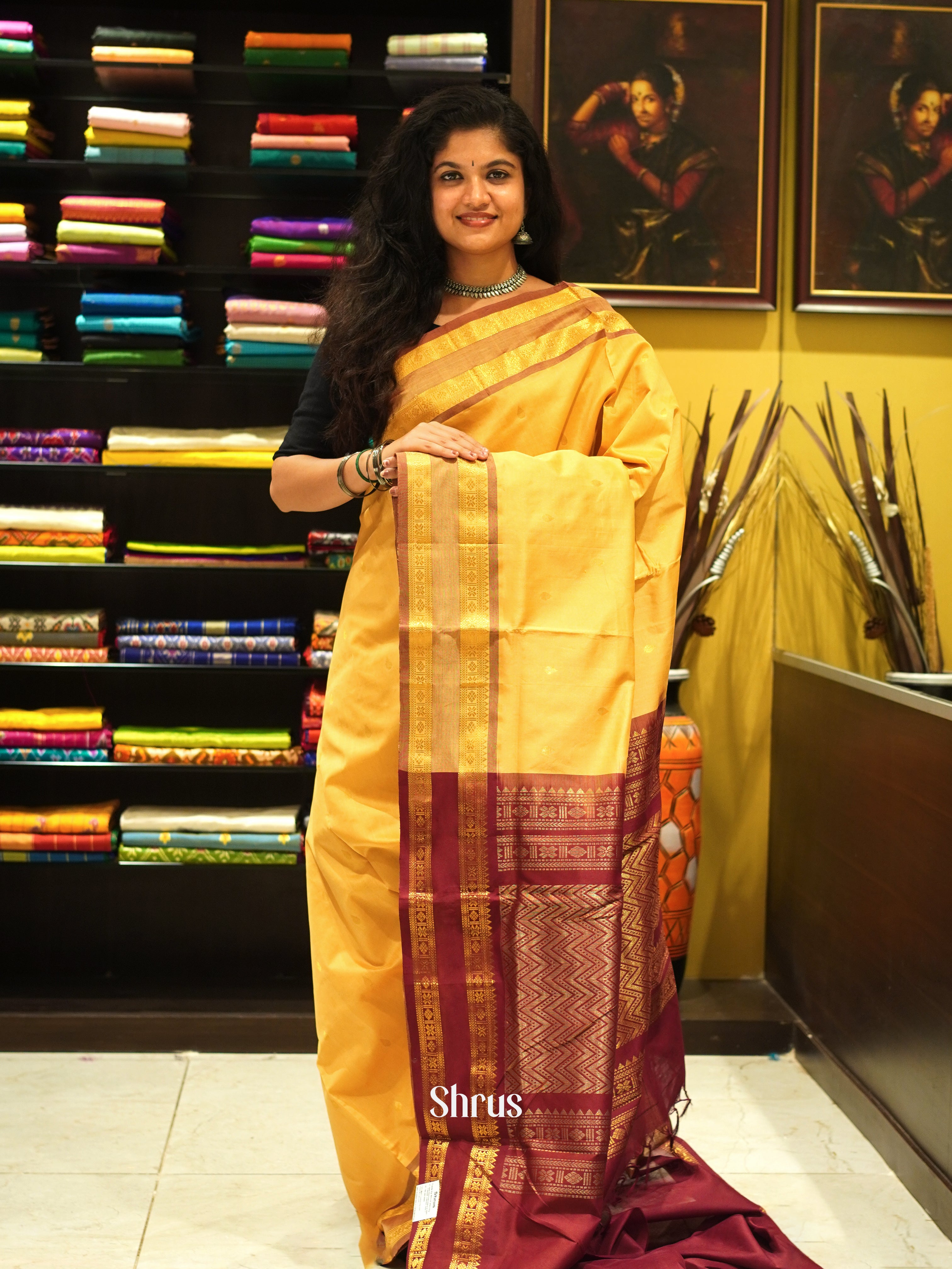 Beige And Brown- Silk Cotton half-pure Saree