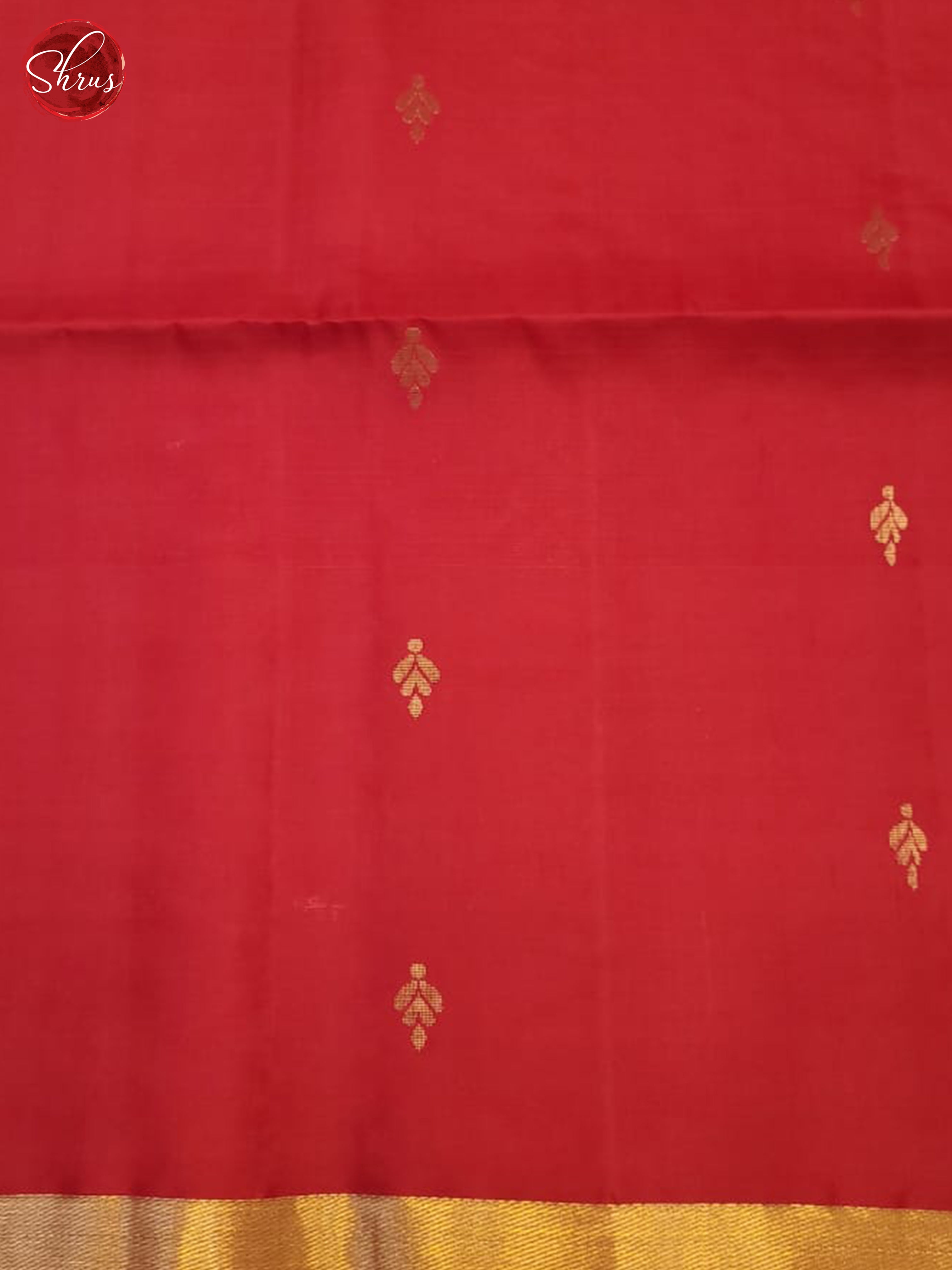 Cream And Red- Soft Silk Saree - Shop on ShrusEternity.com
