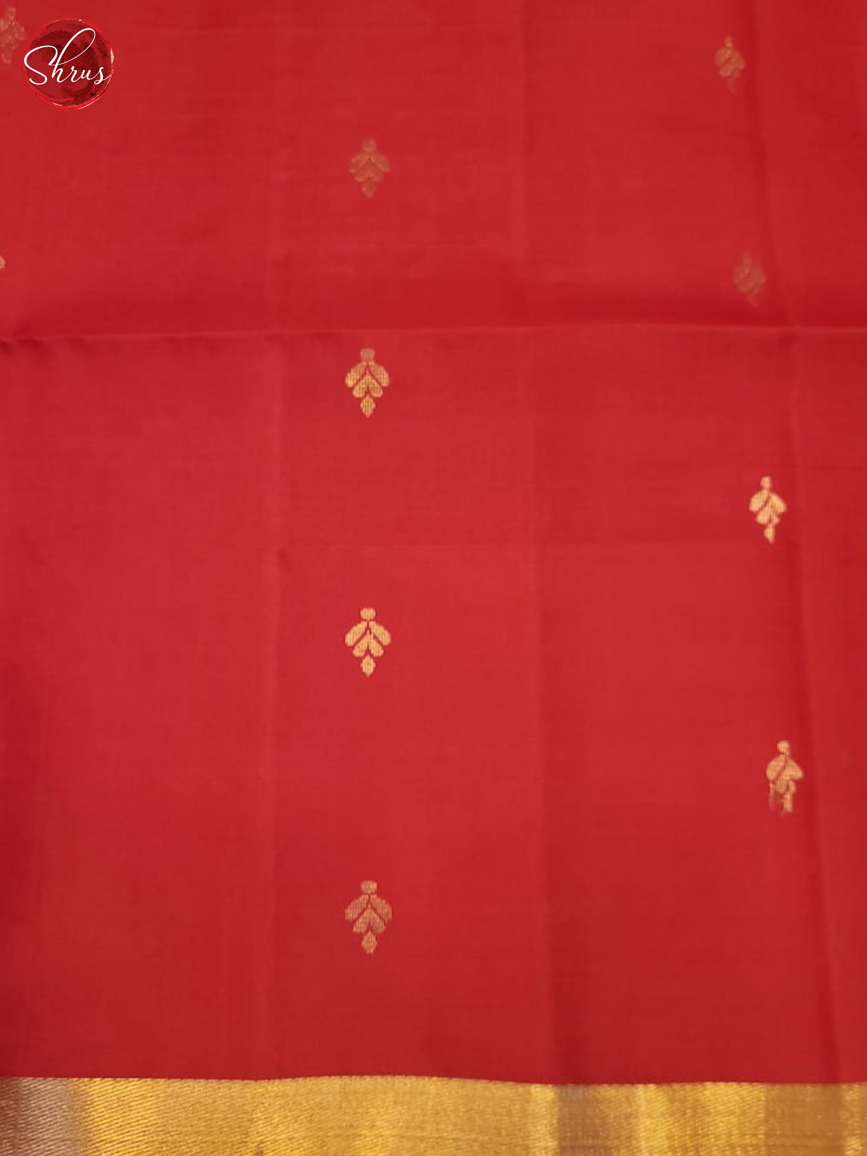 Beige And Red- Soft Silk Saree - Shop on ShrusEternity.com