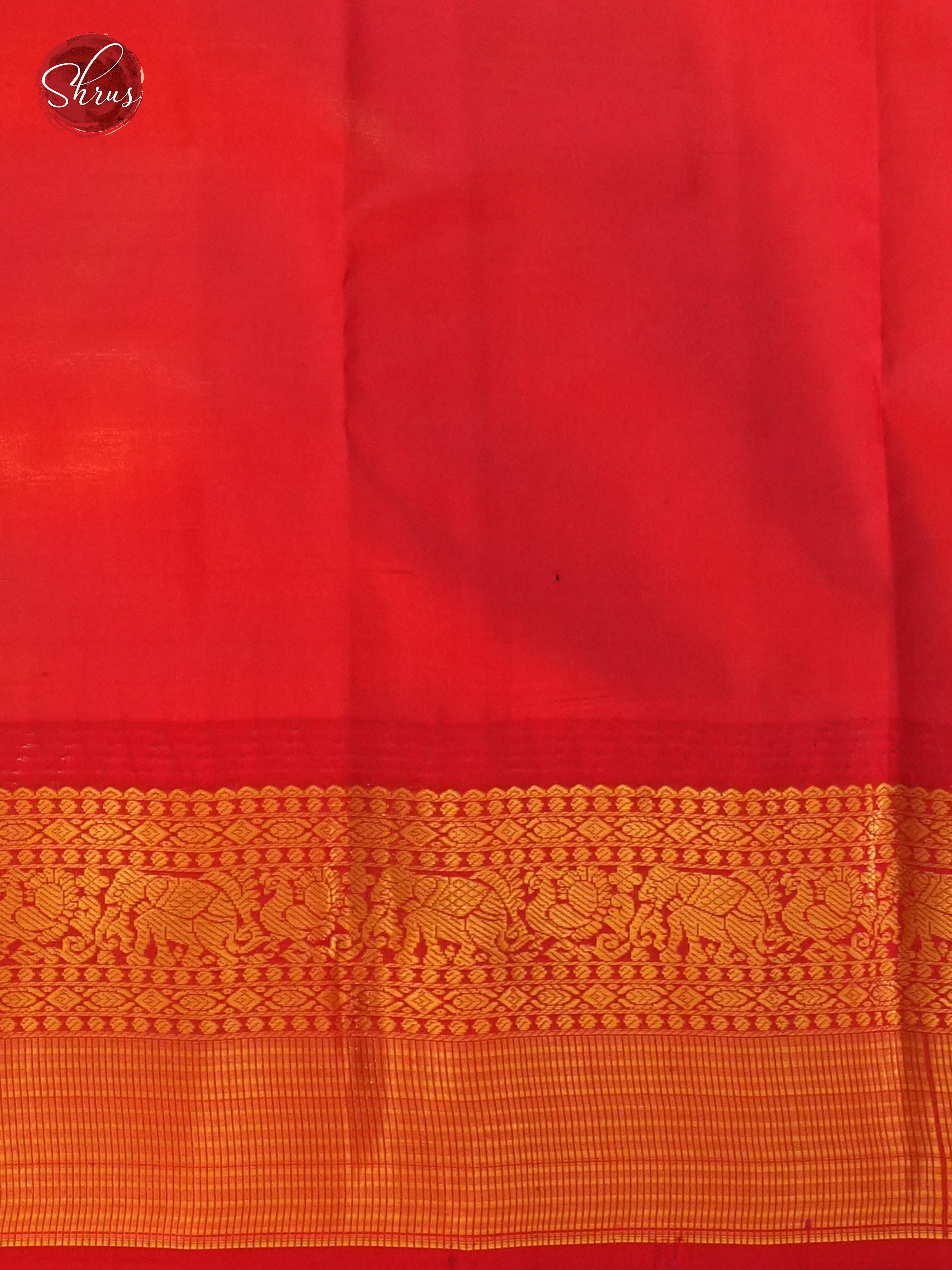 CDS24013 - Kanchipuram silk