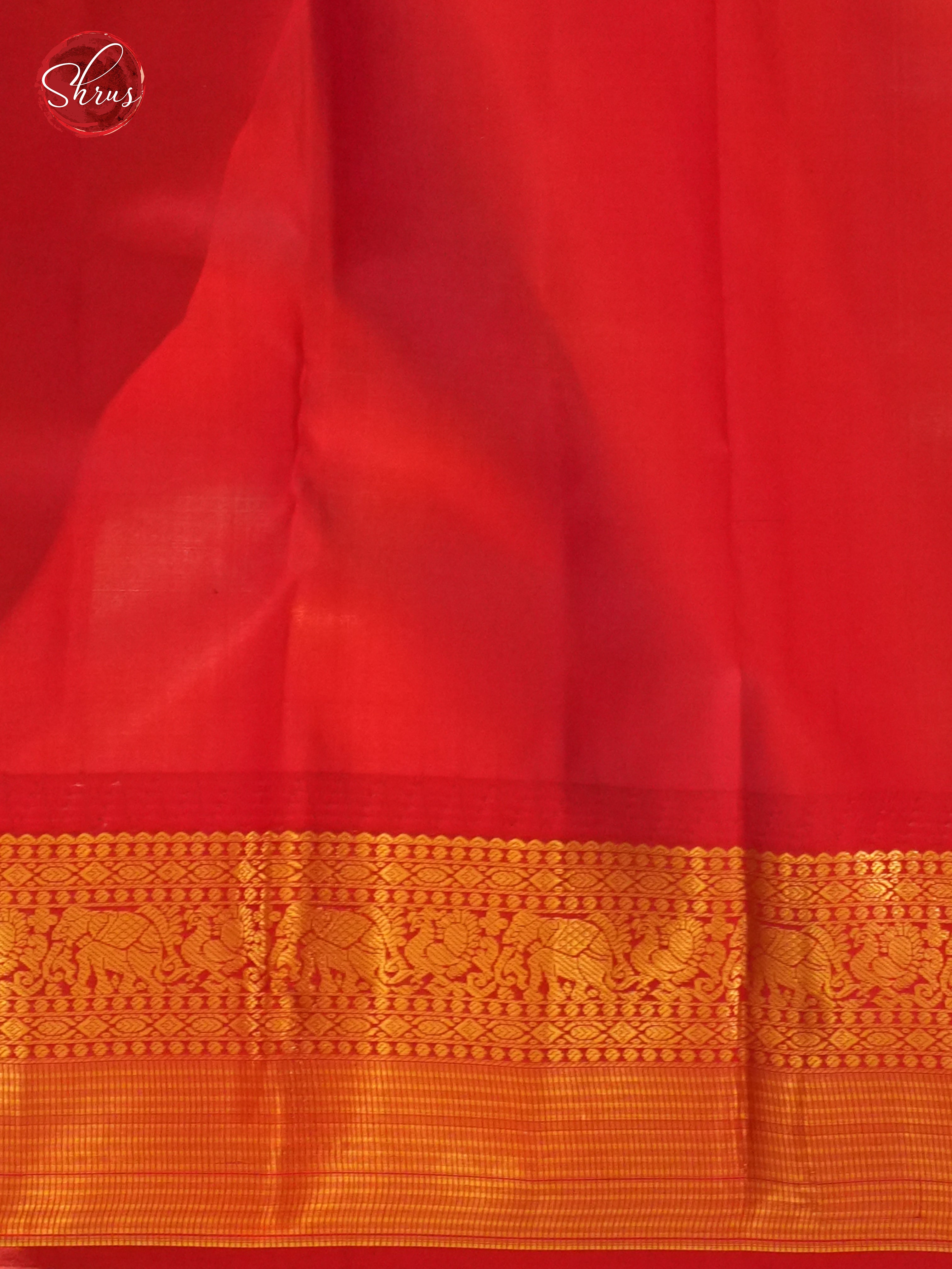 CDS24018 - Kanchipuram silk