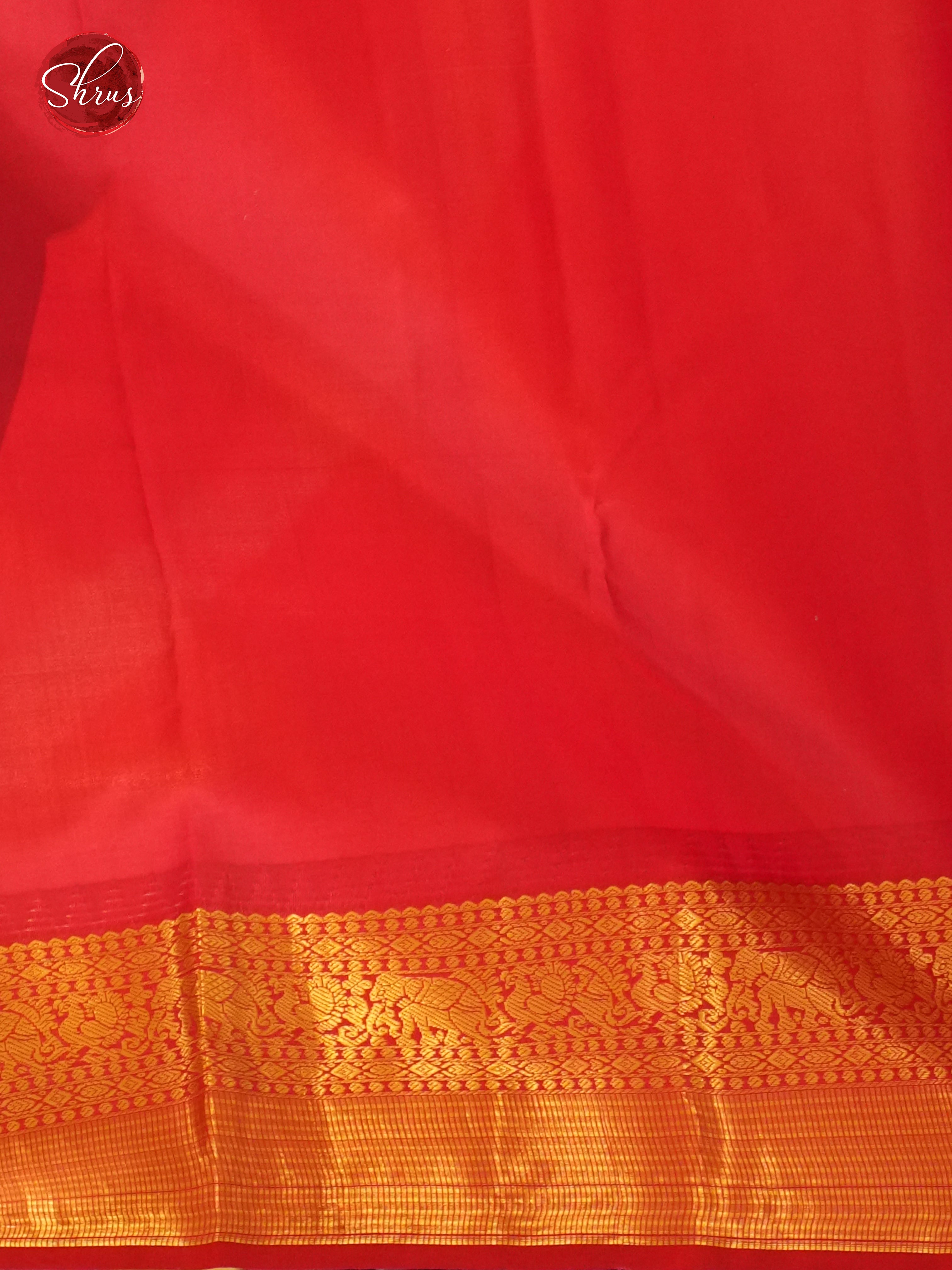 CDS24020 - Kanchipuram silk