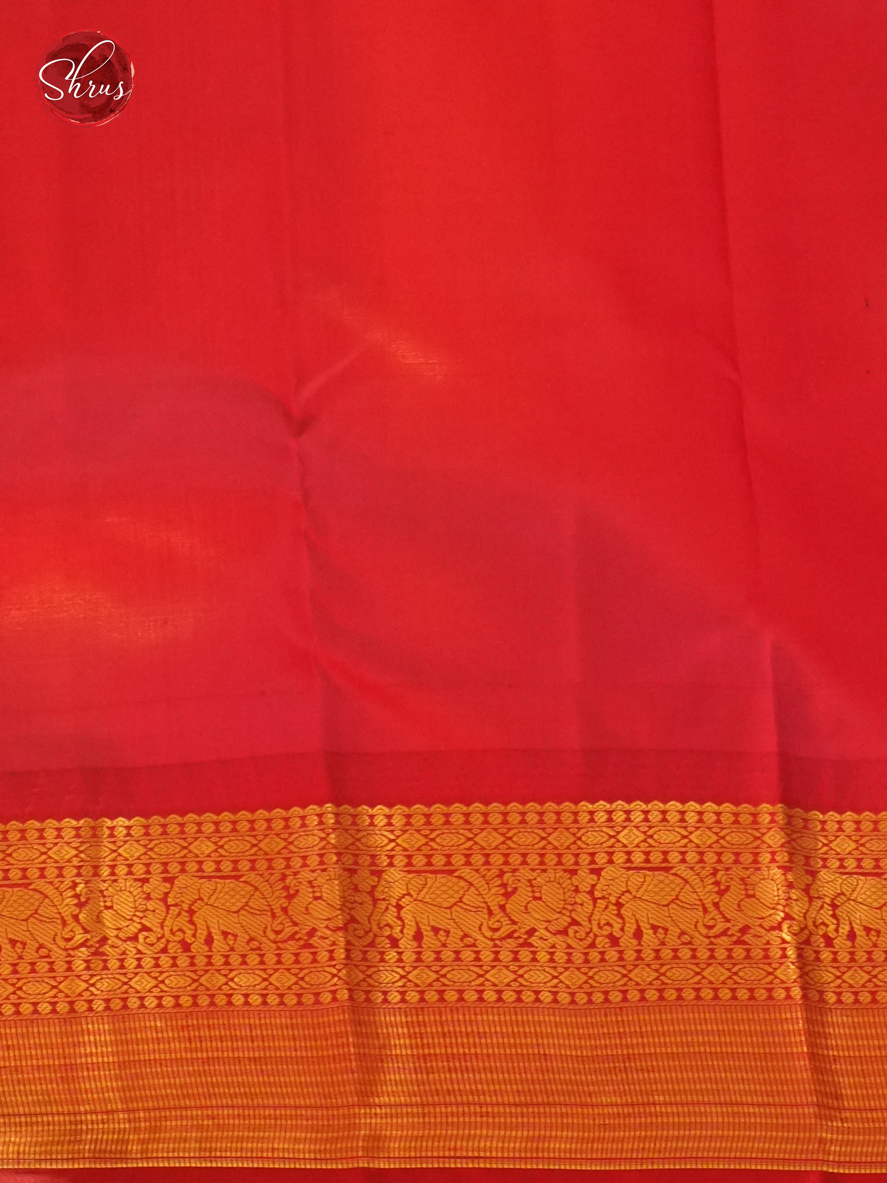CDS24029 - Kanchipuram silk - Shop on ShrusEternity.com