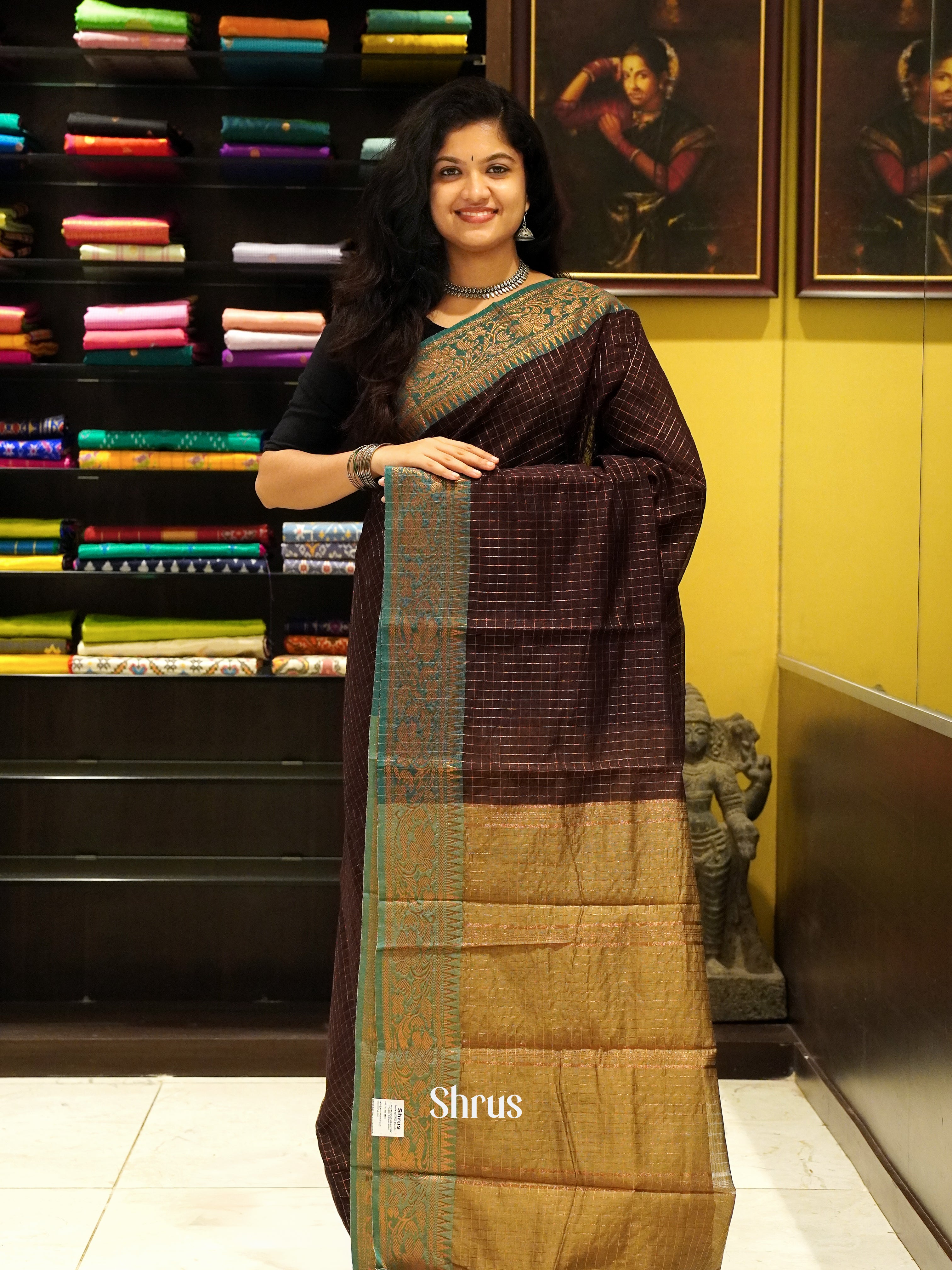 Brown & Beige - Mercerized Cotton Saree