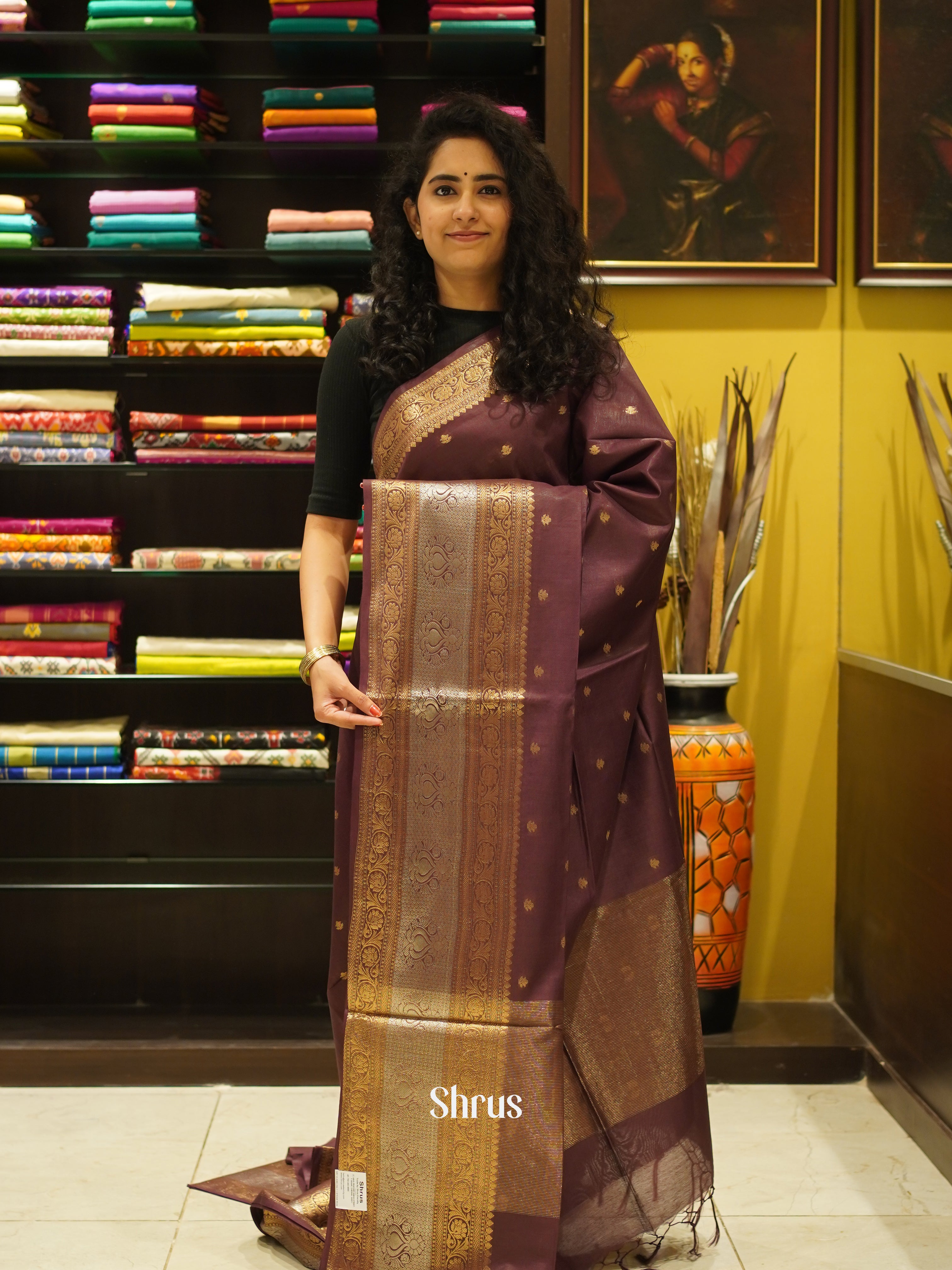 Brown(Single Tone)- Semi Silk Cotton Saree - Shop on ShrusEternity.com