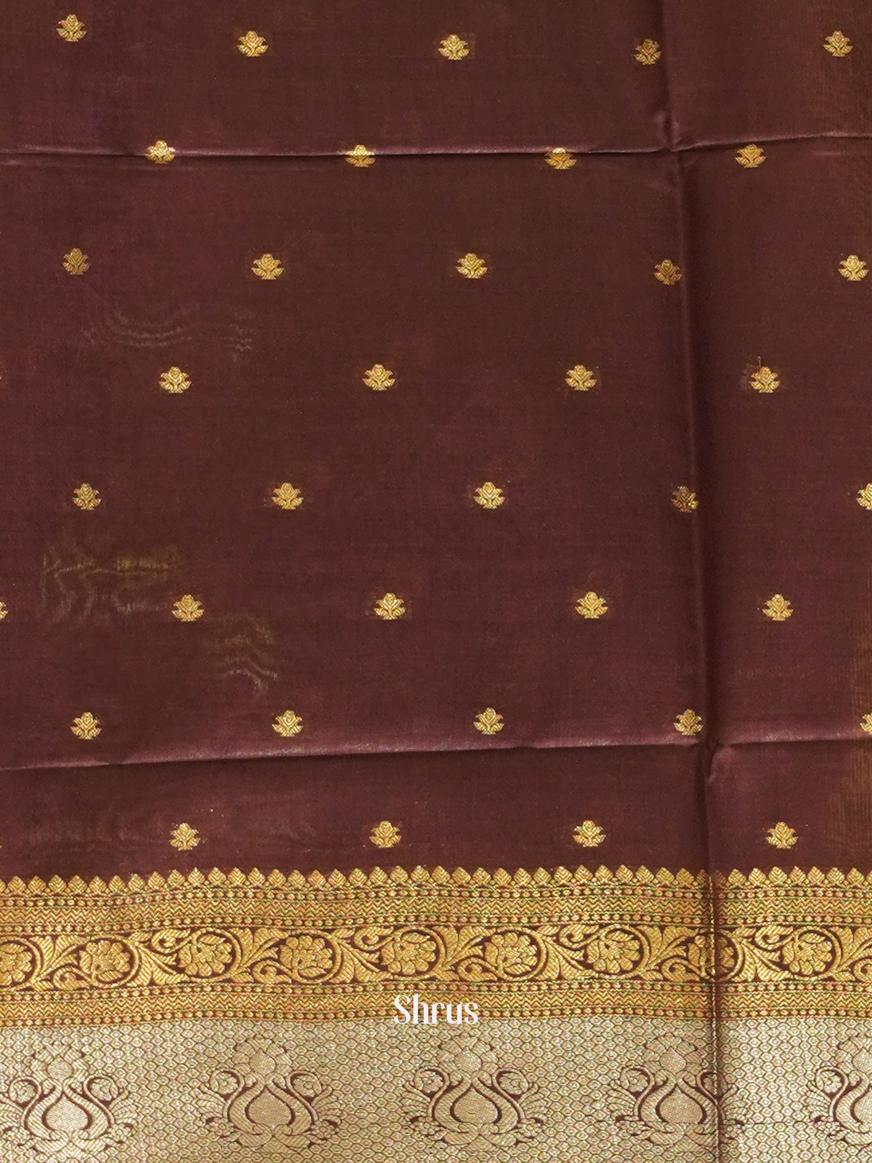 Brown(Single Tone)- Semi Silk Cotton Saree - Shop on ShrusEternity.com