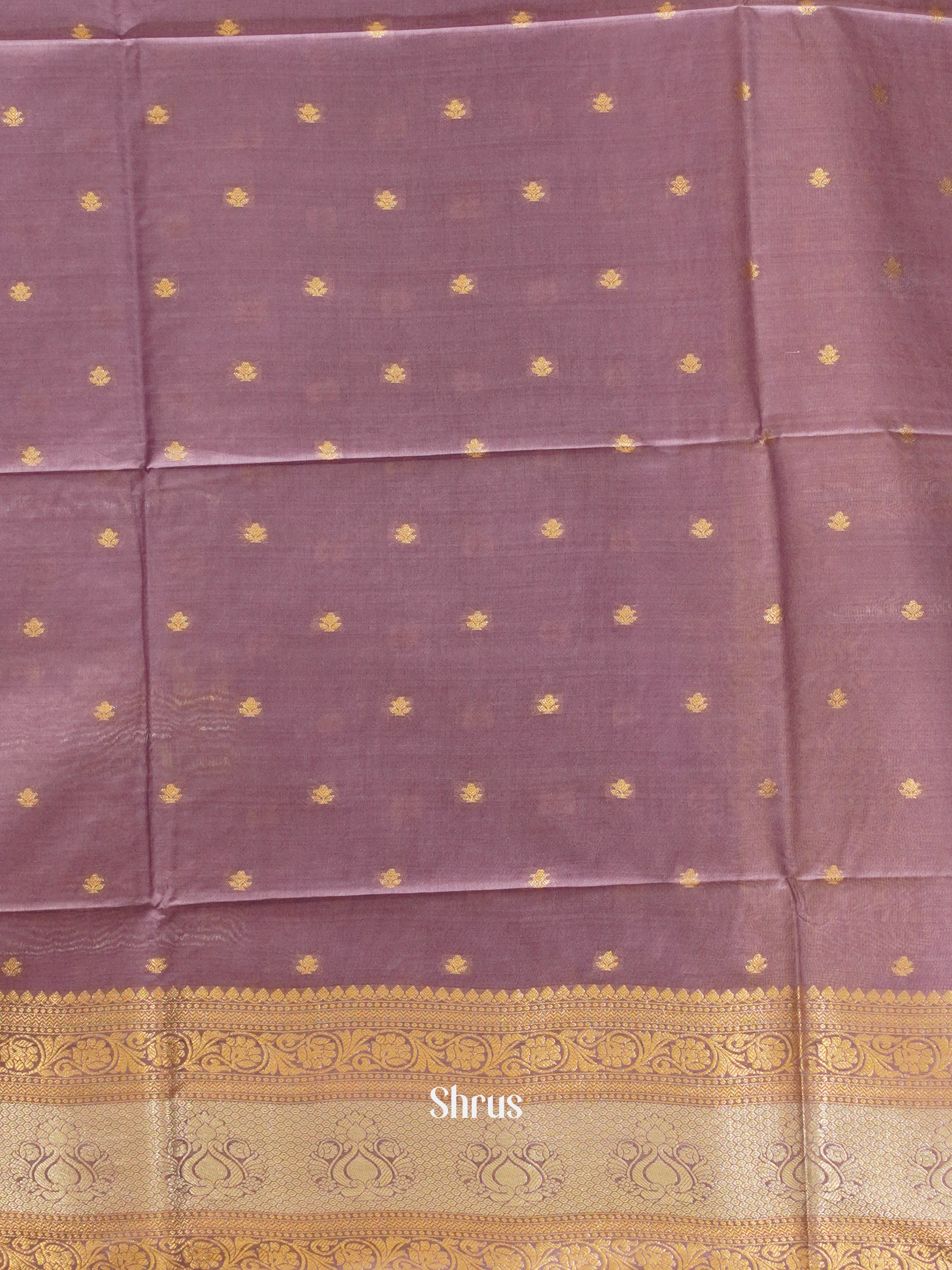 CDS27013 - Semi Silkcotton Saree - Shop on ShrusEternity.com