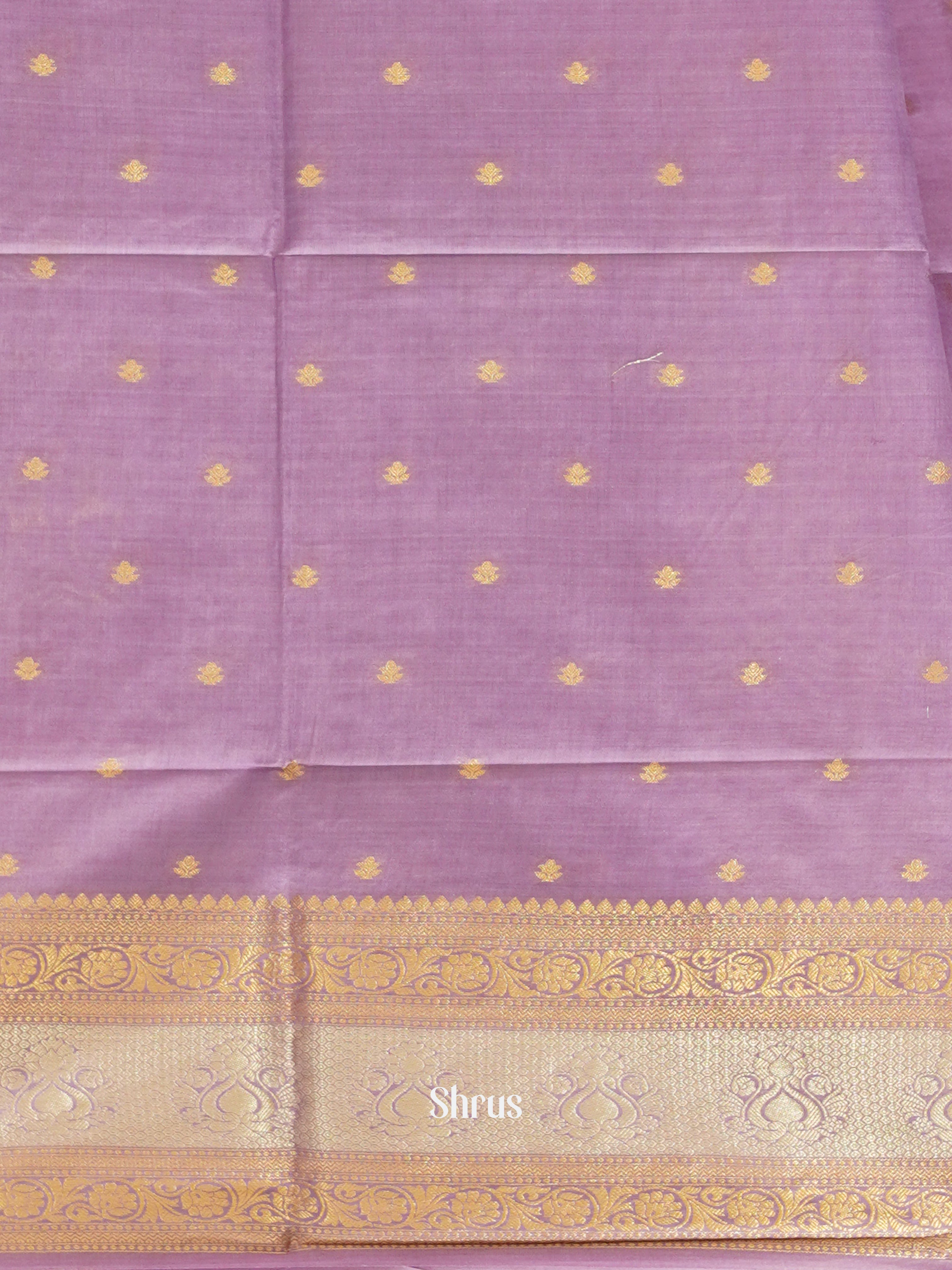 CDS27019 - Semi Silkcotton Saree - Shop on ShrusEternity.com