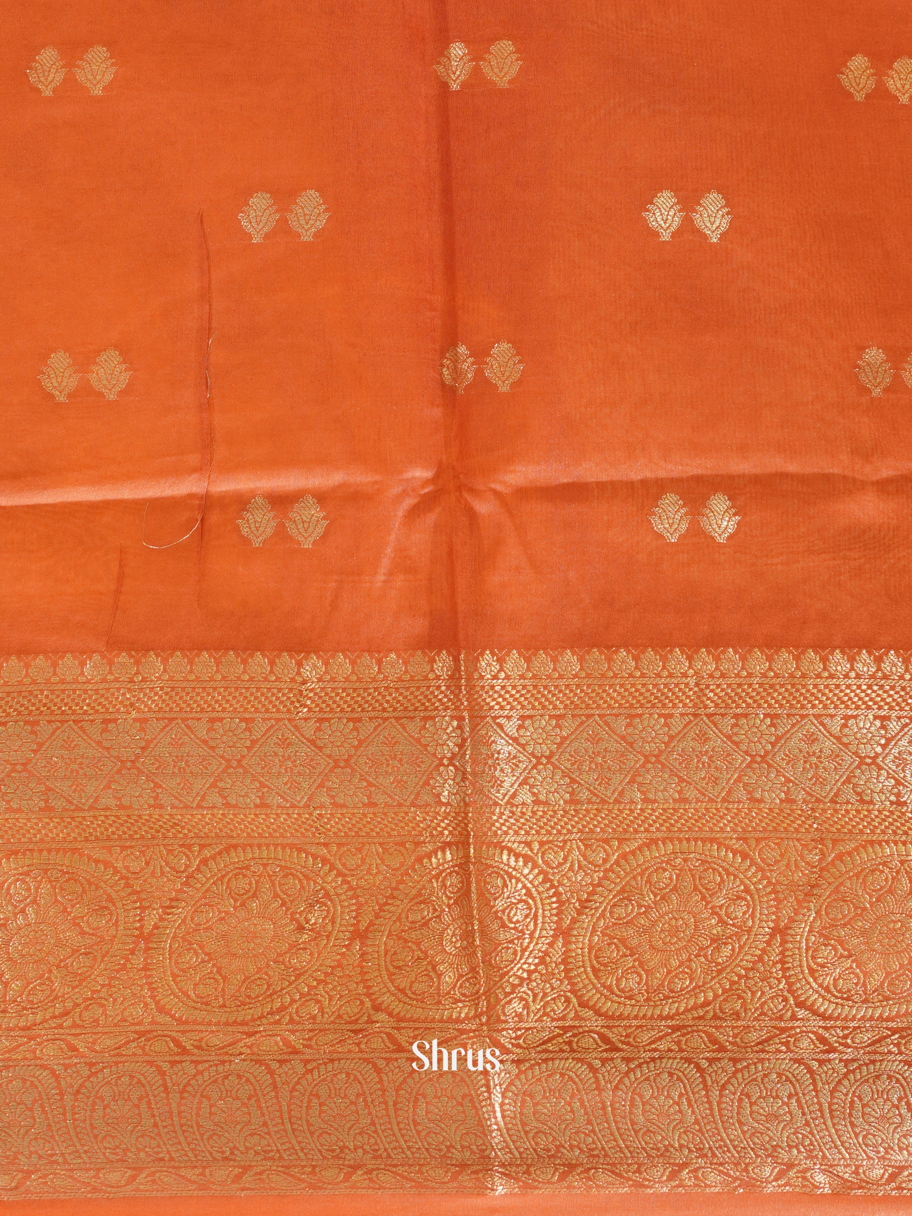 Light Brown & Red  - North silkcotton Saree