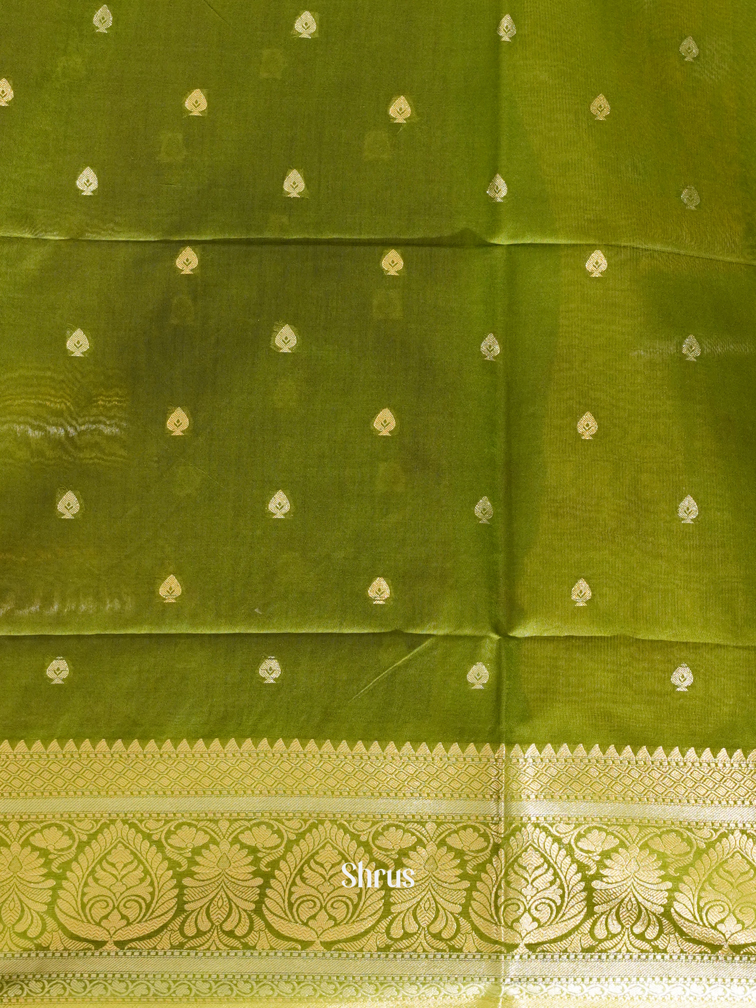 CDS27120 - Semi Silkcotton Saree - Shop on ShrusEternity.com