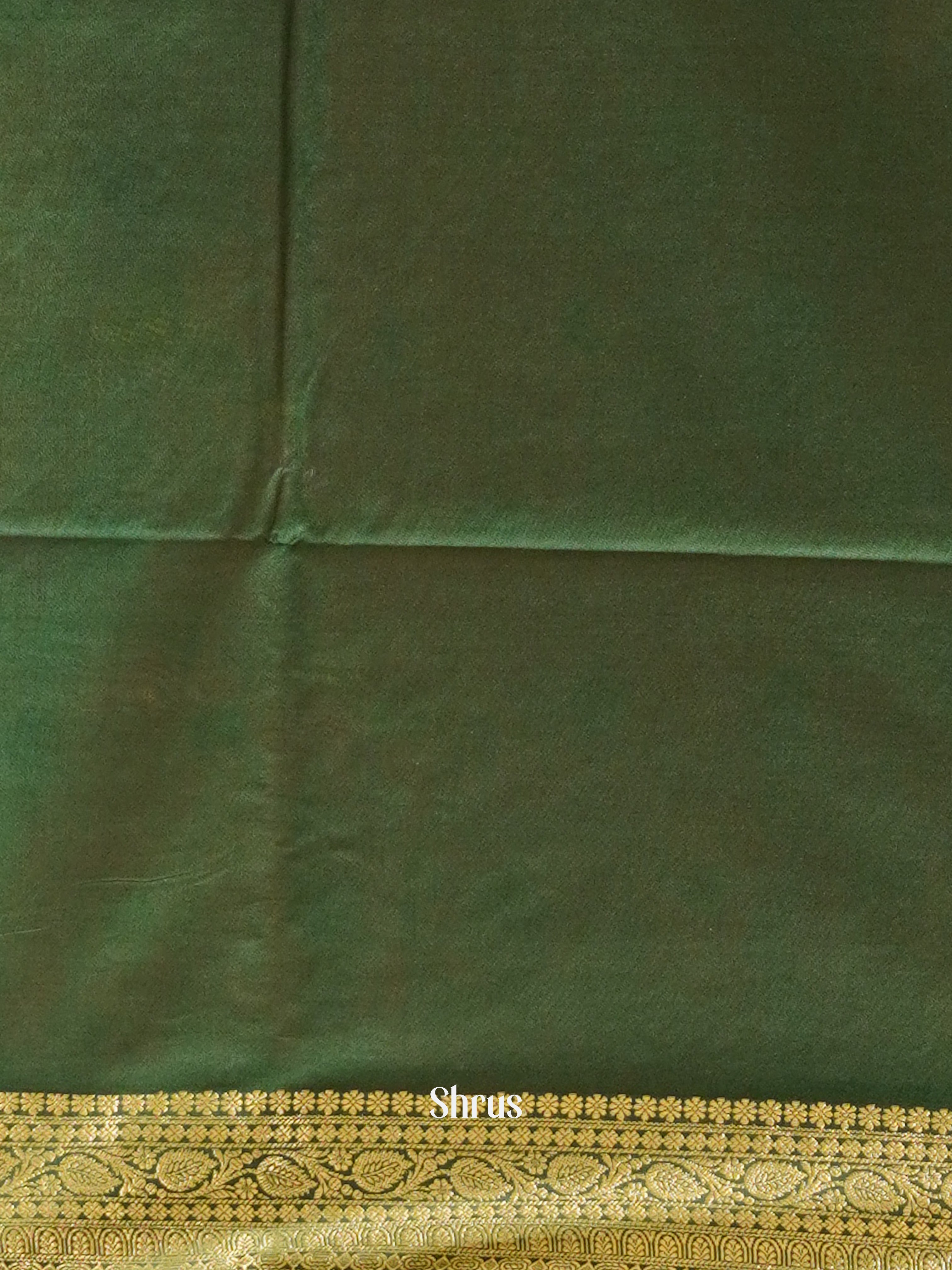 Brick & Green - Semi SilK Cotton Saree - Shop on ShrusEternity.com