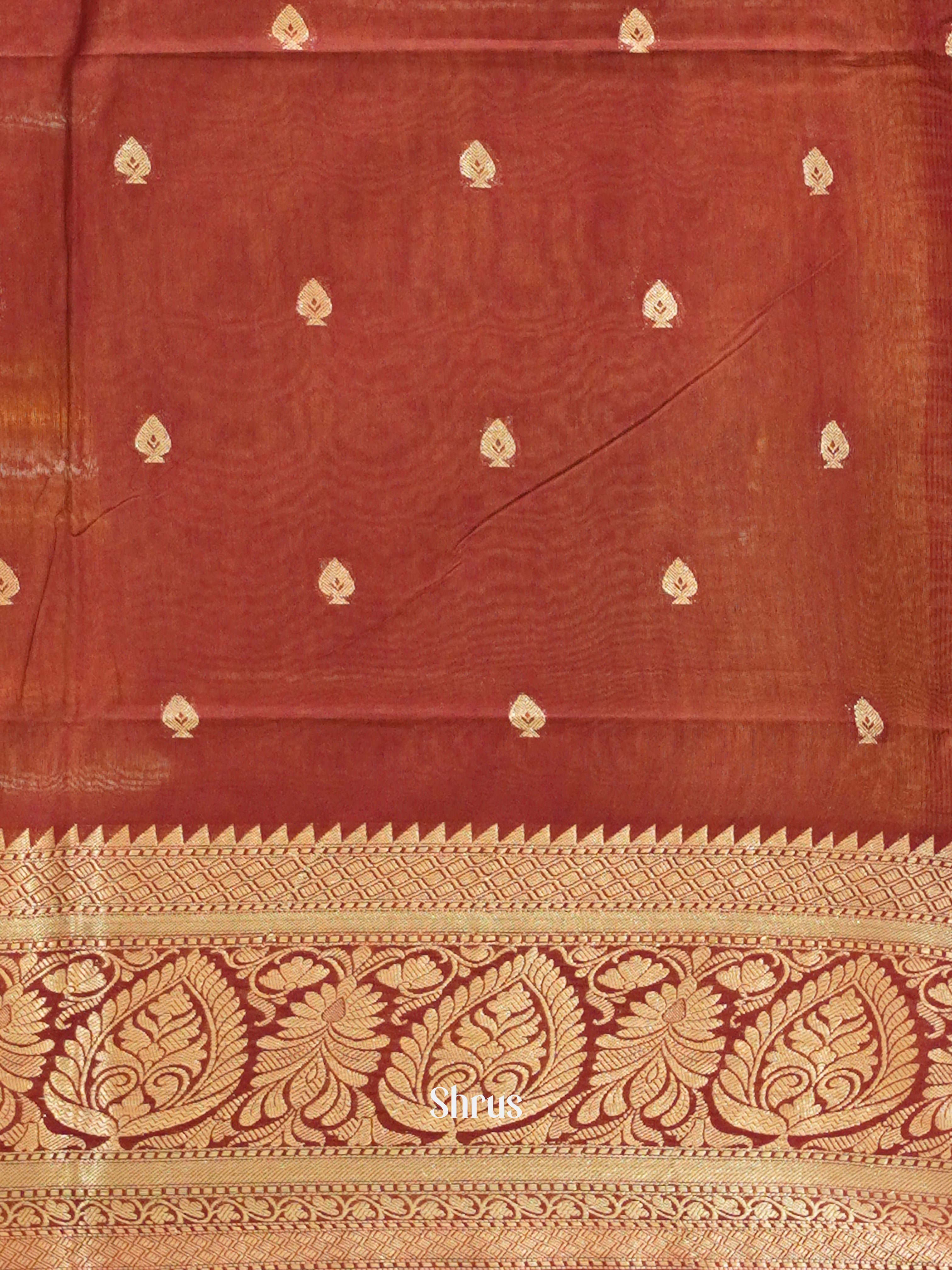 CDS27243 - Semi Silkcotton Saree - Shop on ShrusEternity.com