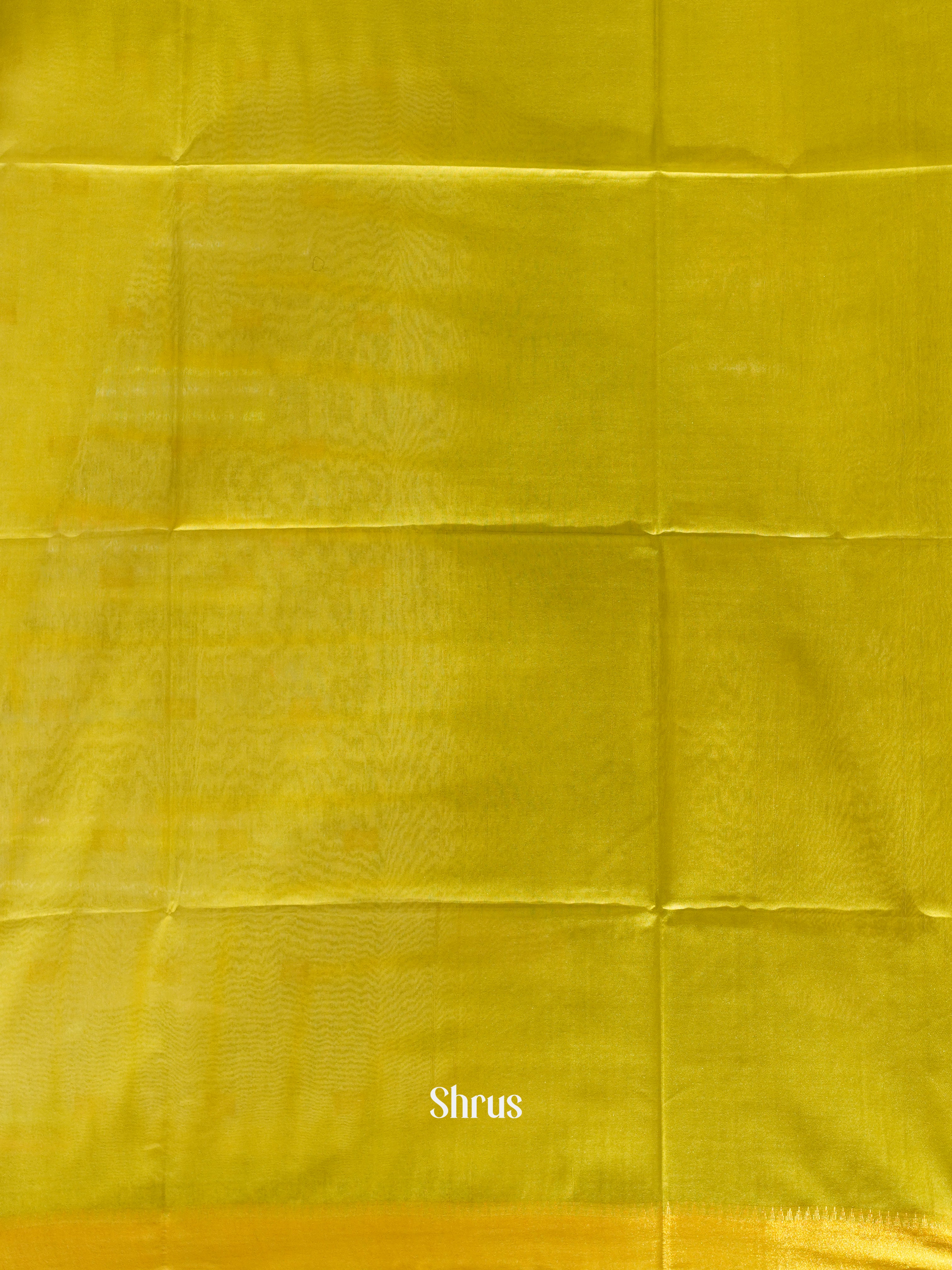 Cream & Green- Shibori  Saree - Shop on ShrusEternity.com