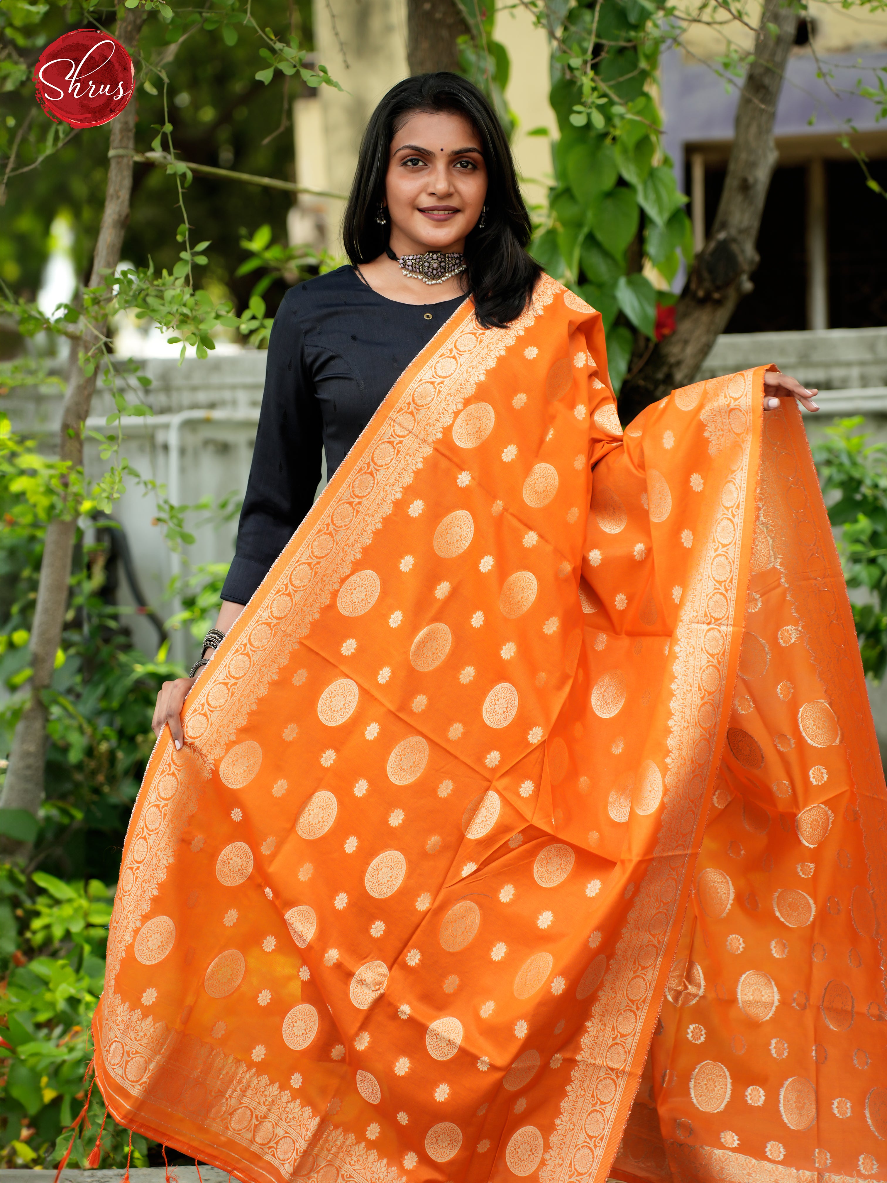 Orange - Semi Banarasi Dupatta - Shop on ShrusEternity.com