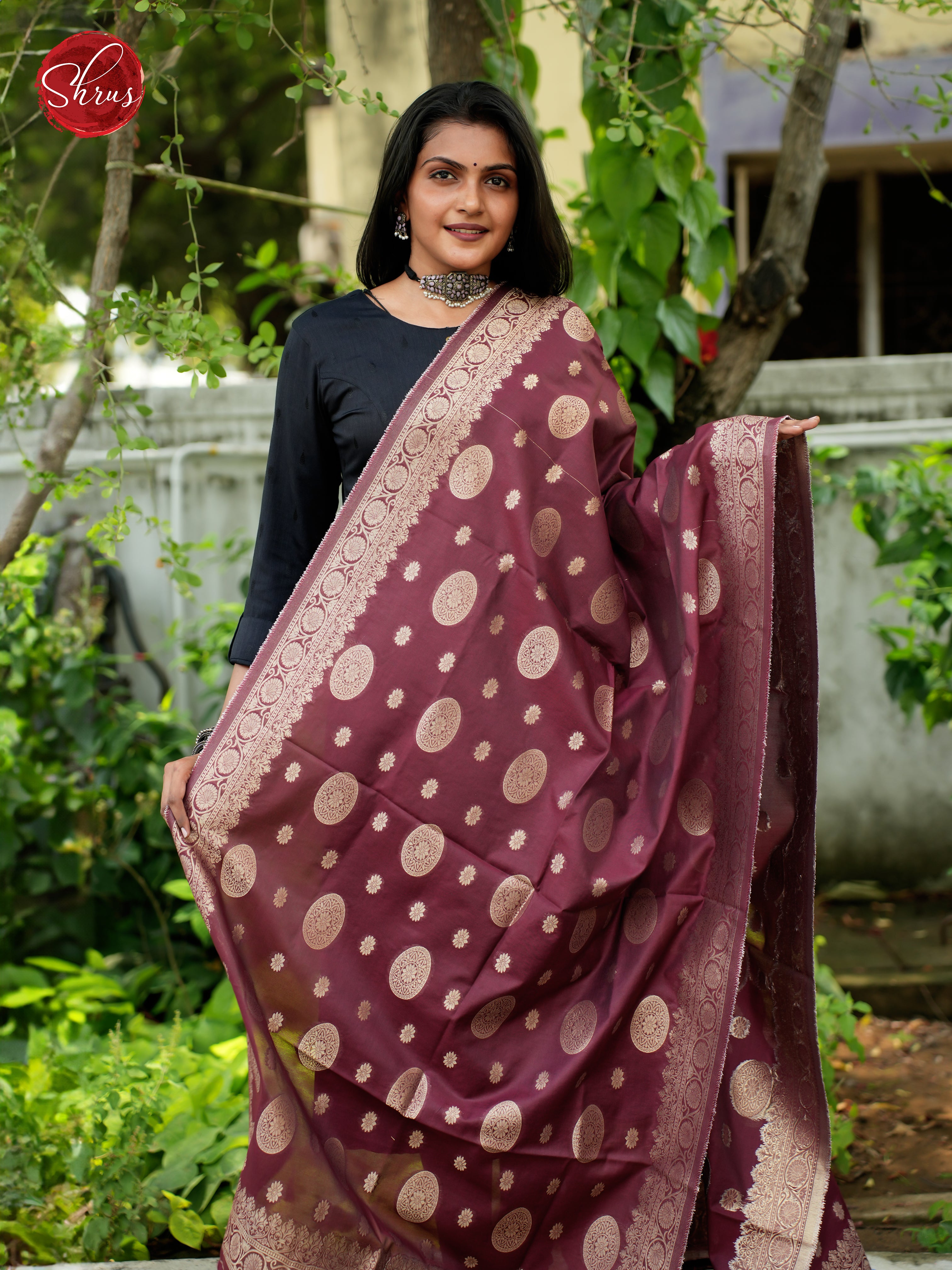 Wine - Semi Banarasi Dupatta - Shop on ShrusEternity.com