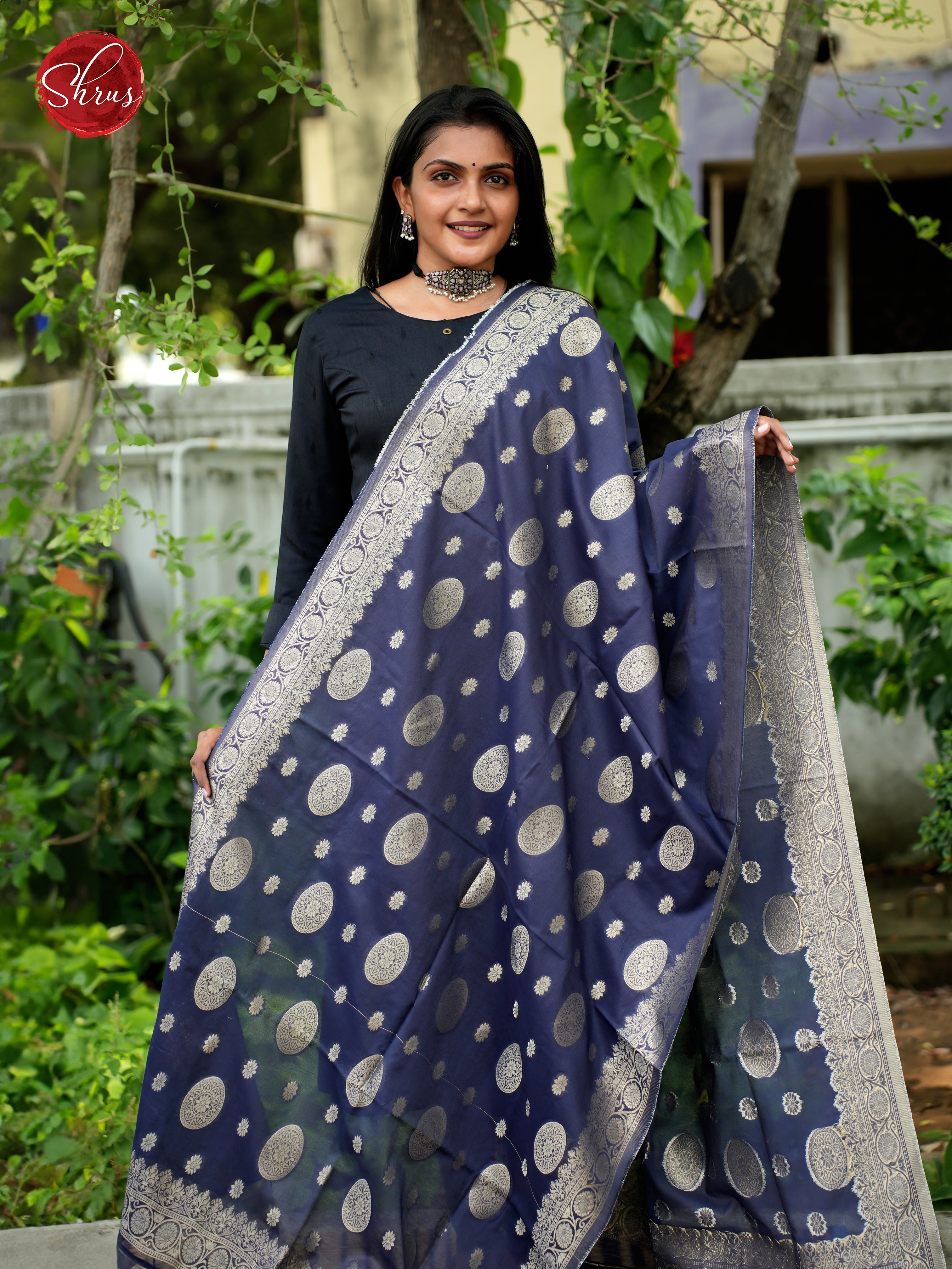 Blue - Semi Banarasi Dupatta - Shop on ShrusEternity.com