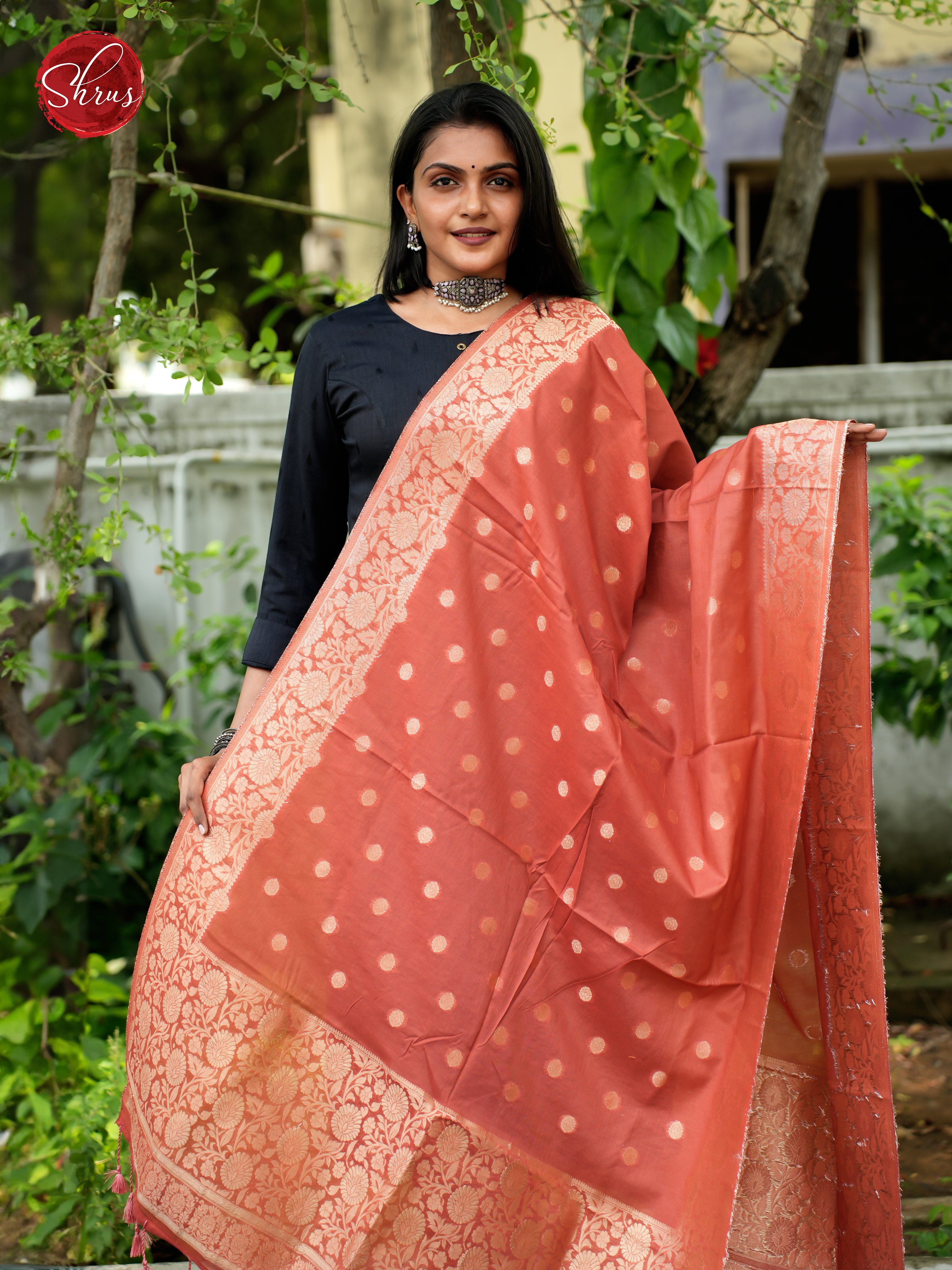 Brick - Semi Banarasi Dupatta - Shop on ShrusEternity.com