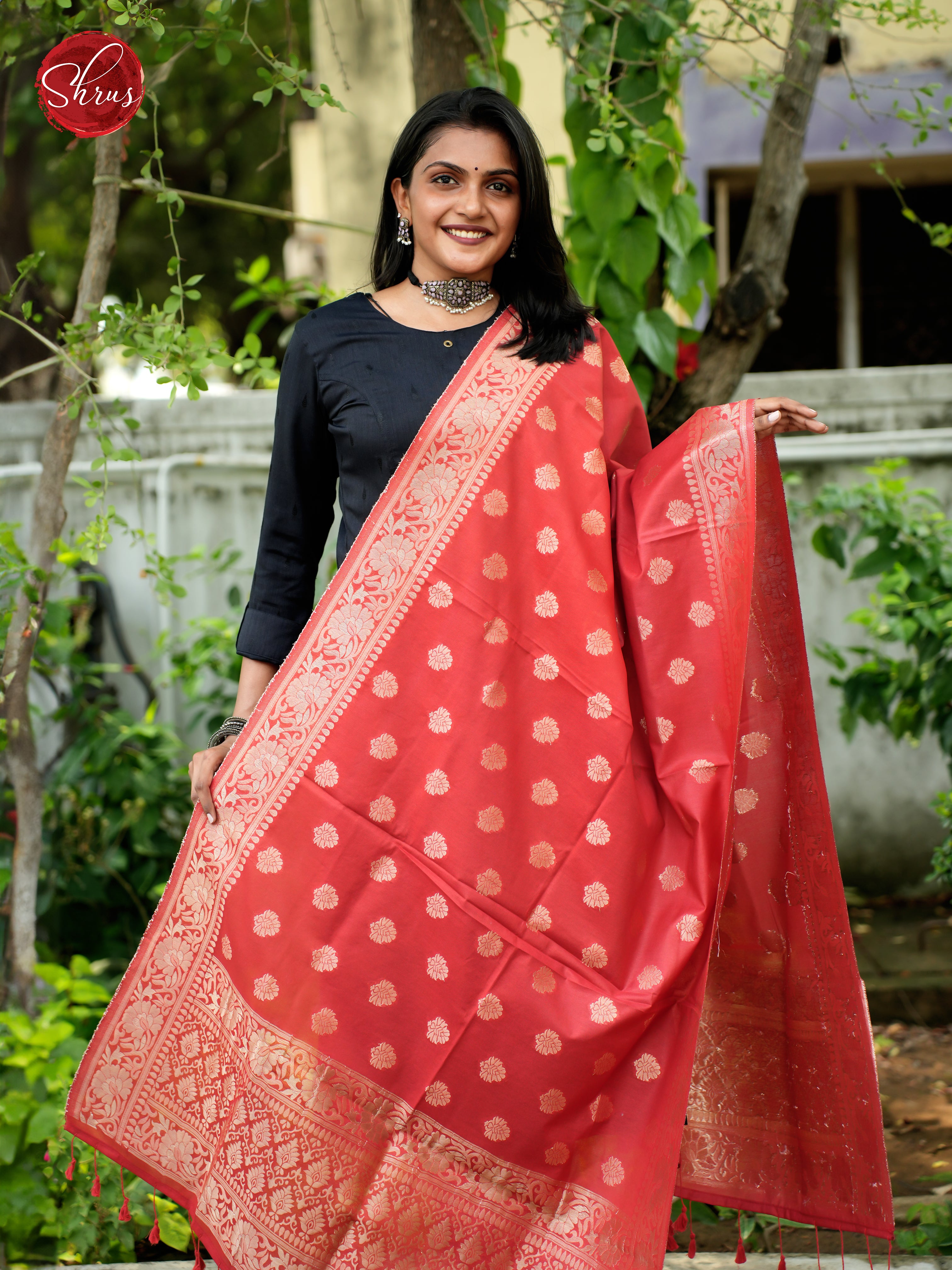 Red - Semi Banarasi Dupatta - Shop on ShrusEternity.com