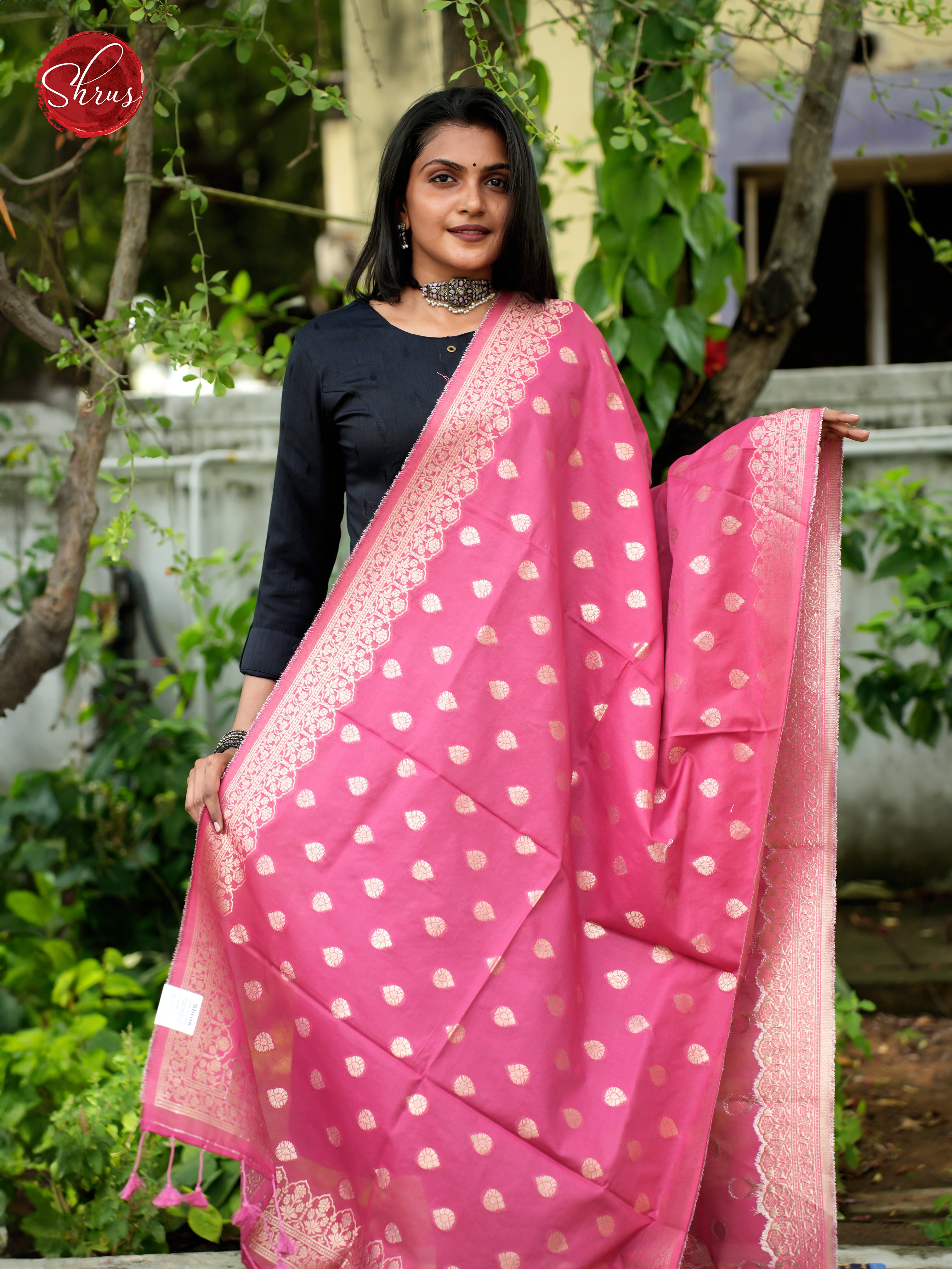 Pink - Semi Banarasi Dupatta - Shop on ShrusEternity.com