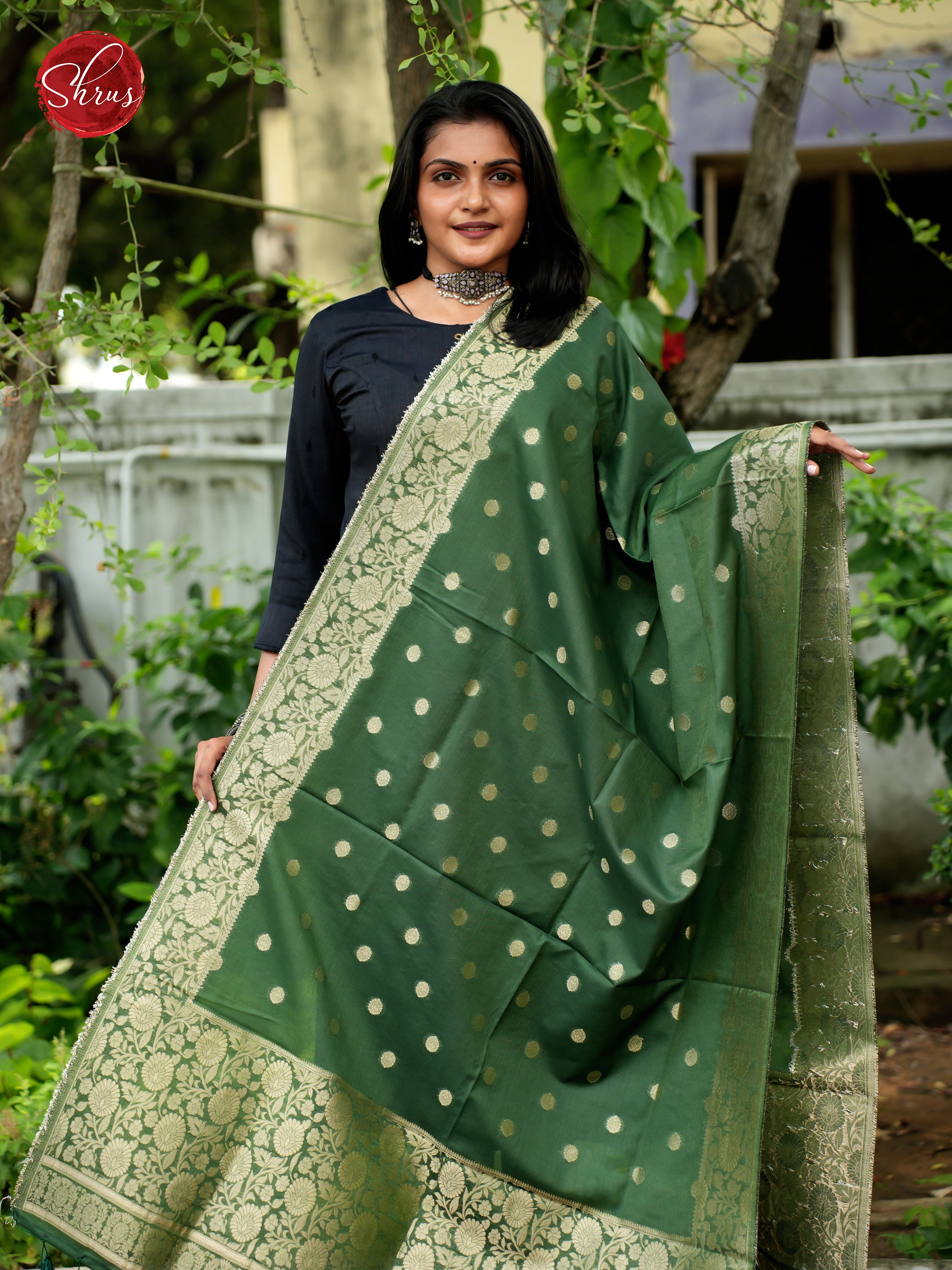 Green - Semi Banarasi Dupatta - Shop on ShrusEternity.com