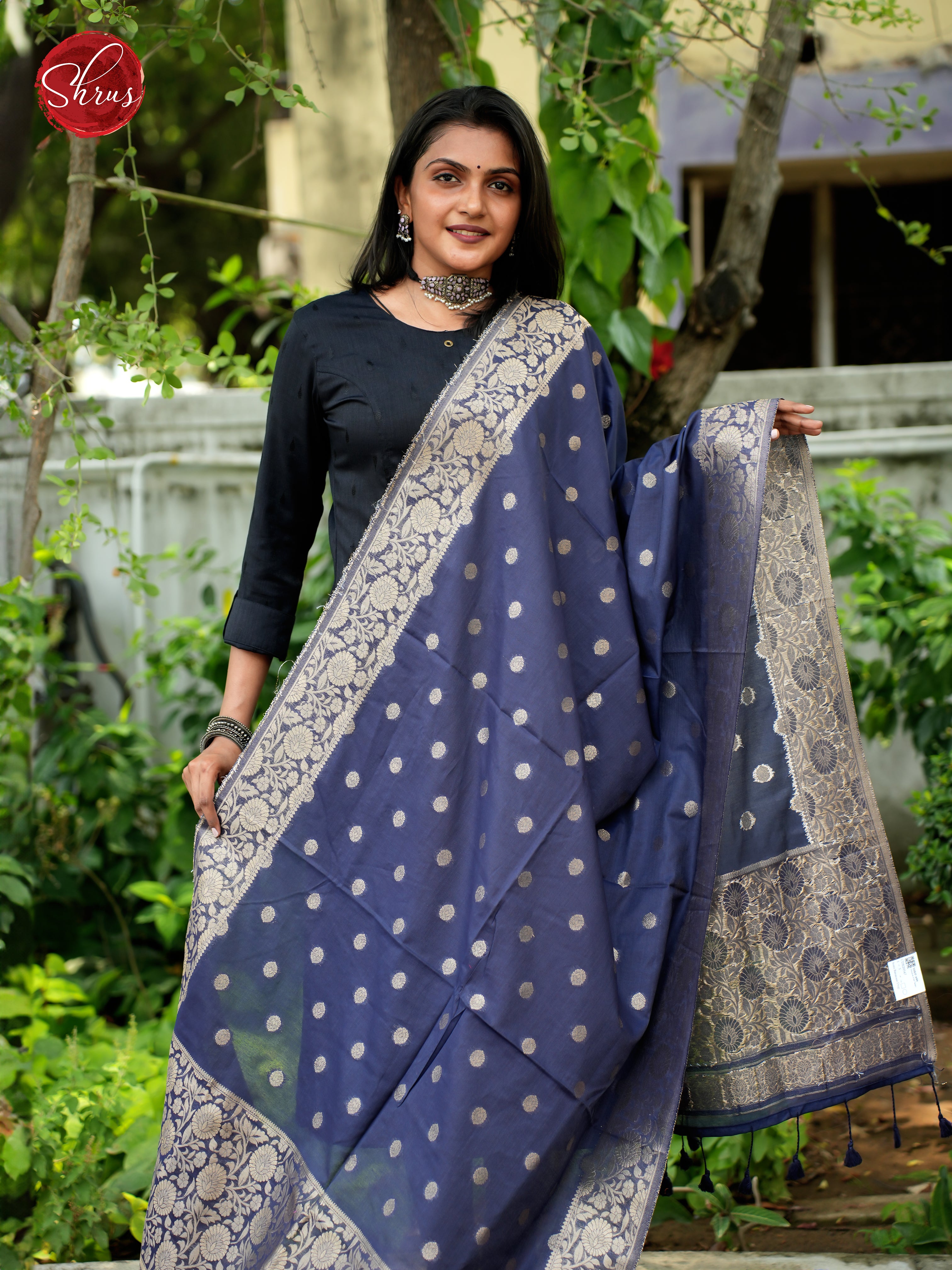 Blue - Semi Banarasi Dupatta - Shop on ShrusEternity.com