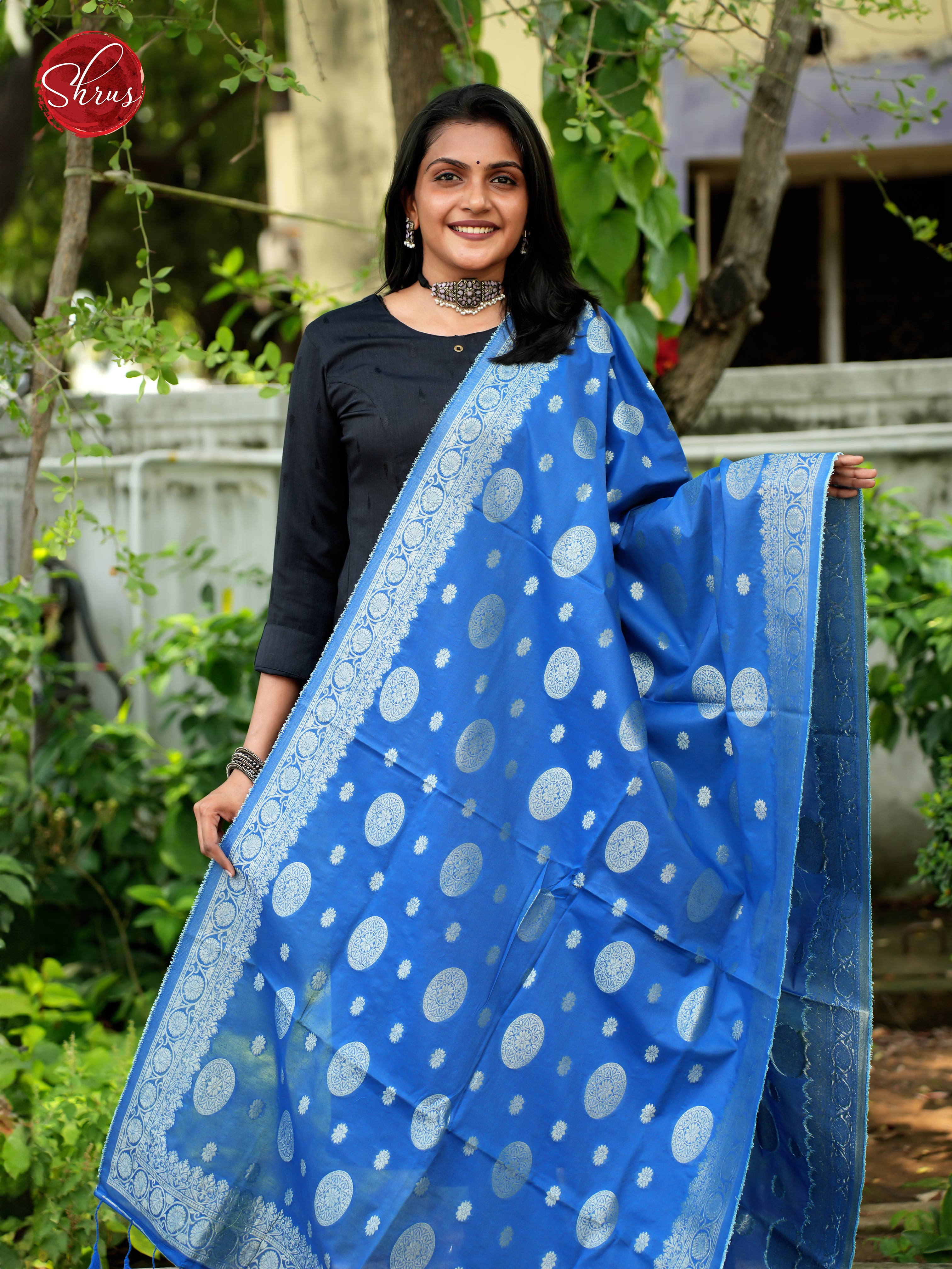 Blue- Semi Banarasi Dupatta - Shop on ShrusEternity.com