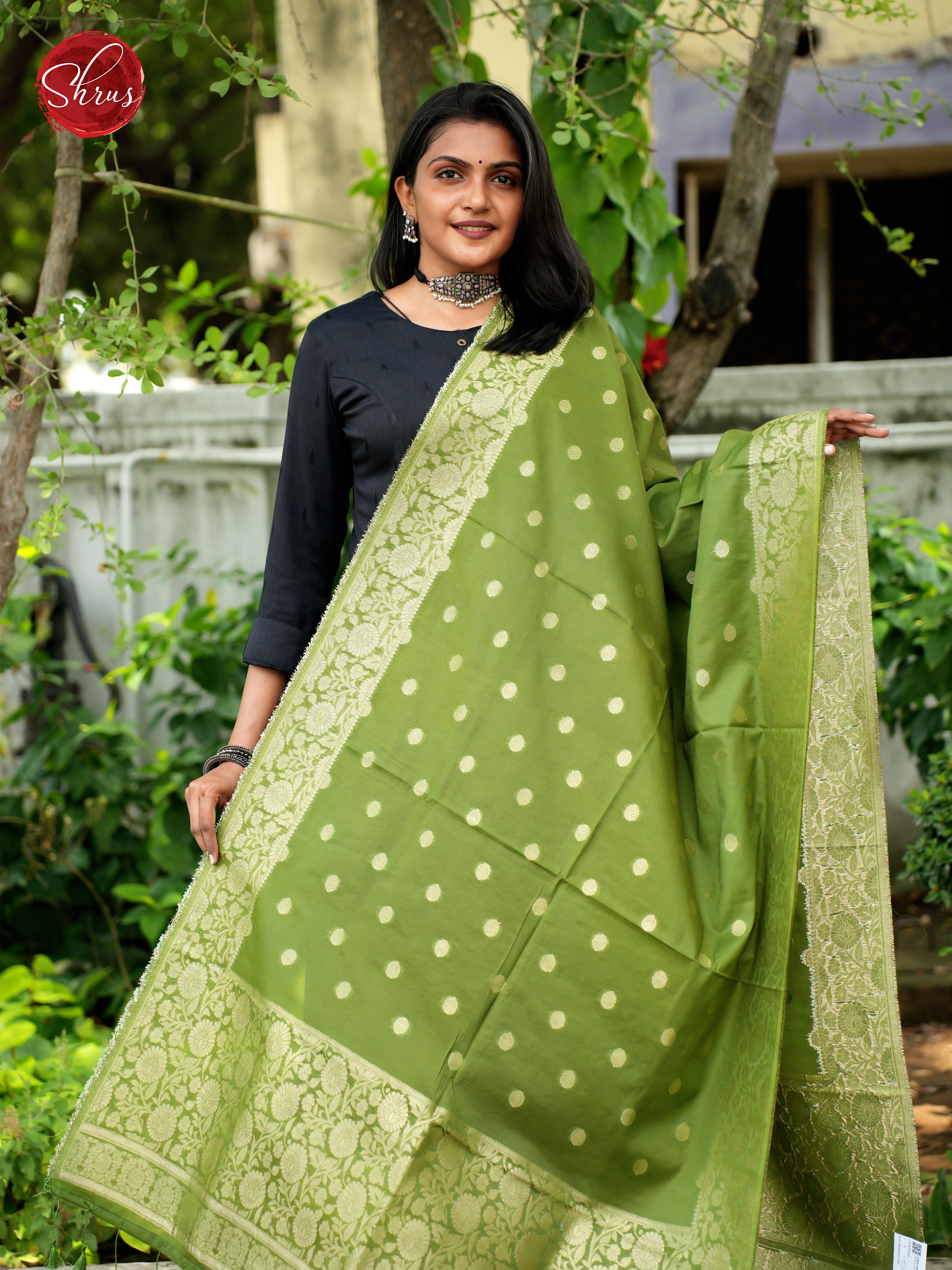 Green - Semi Banarasi Dupatta - Shop on ShrusEternity.com