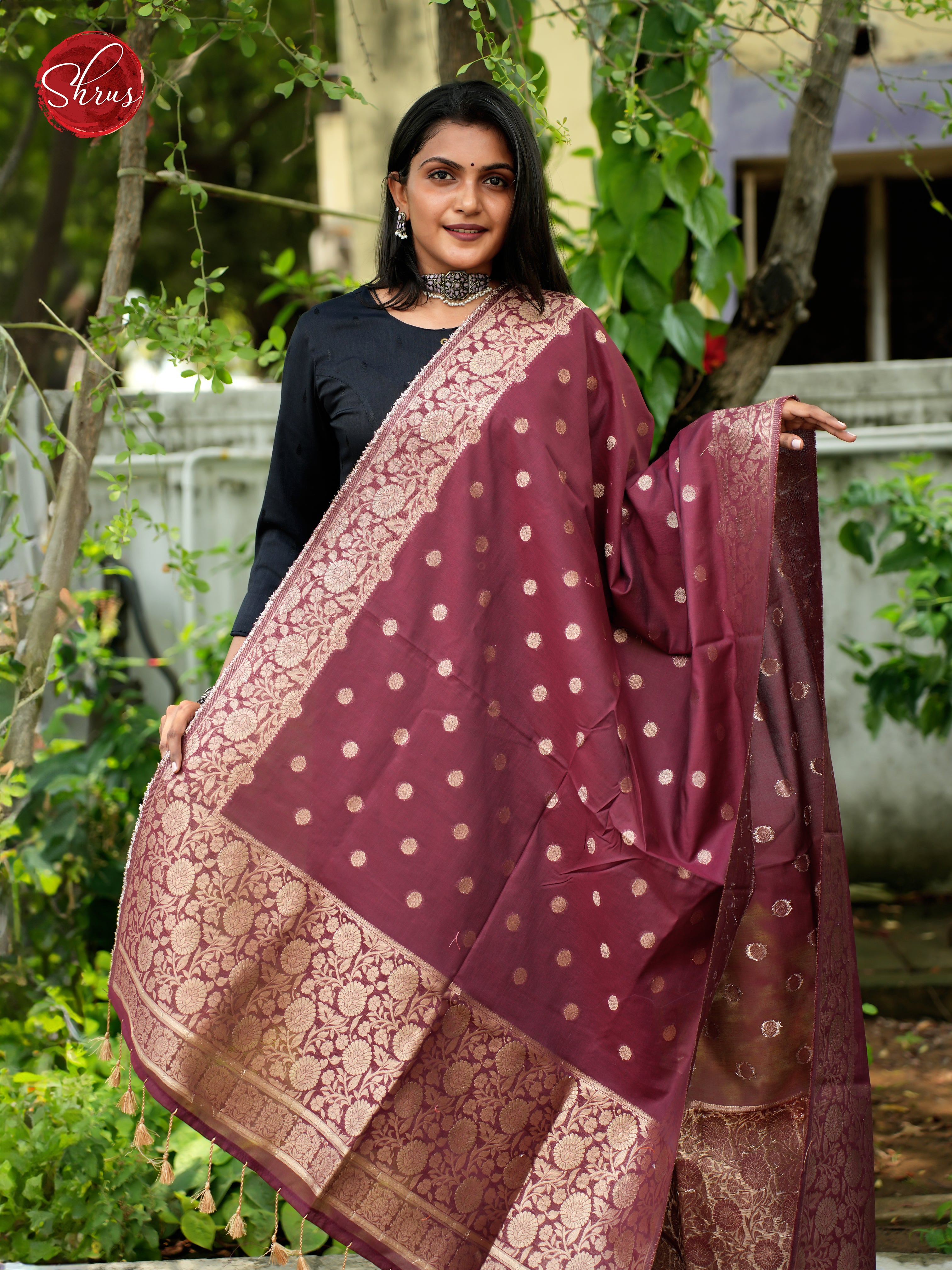 Wine - Semi Banarasi Dupatta - Shop on ShrusEternity.com