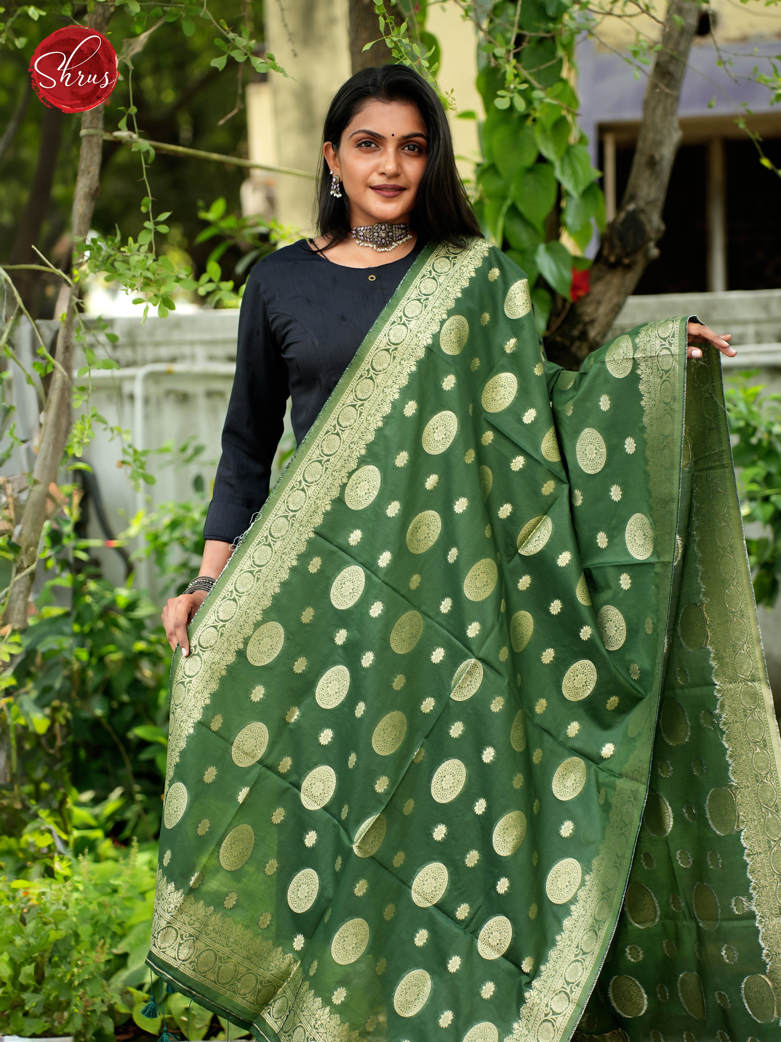 Green - Semi Banarasi Dupatta - Shop on ShrusEternity.com