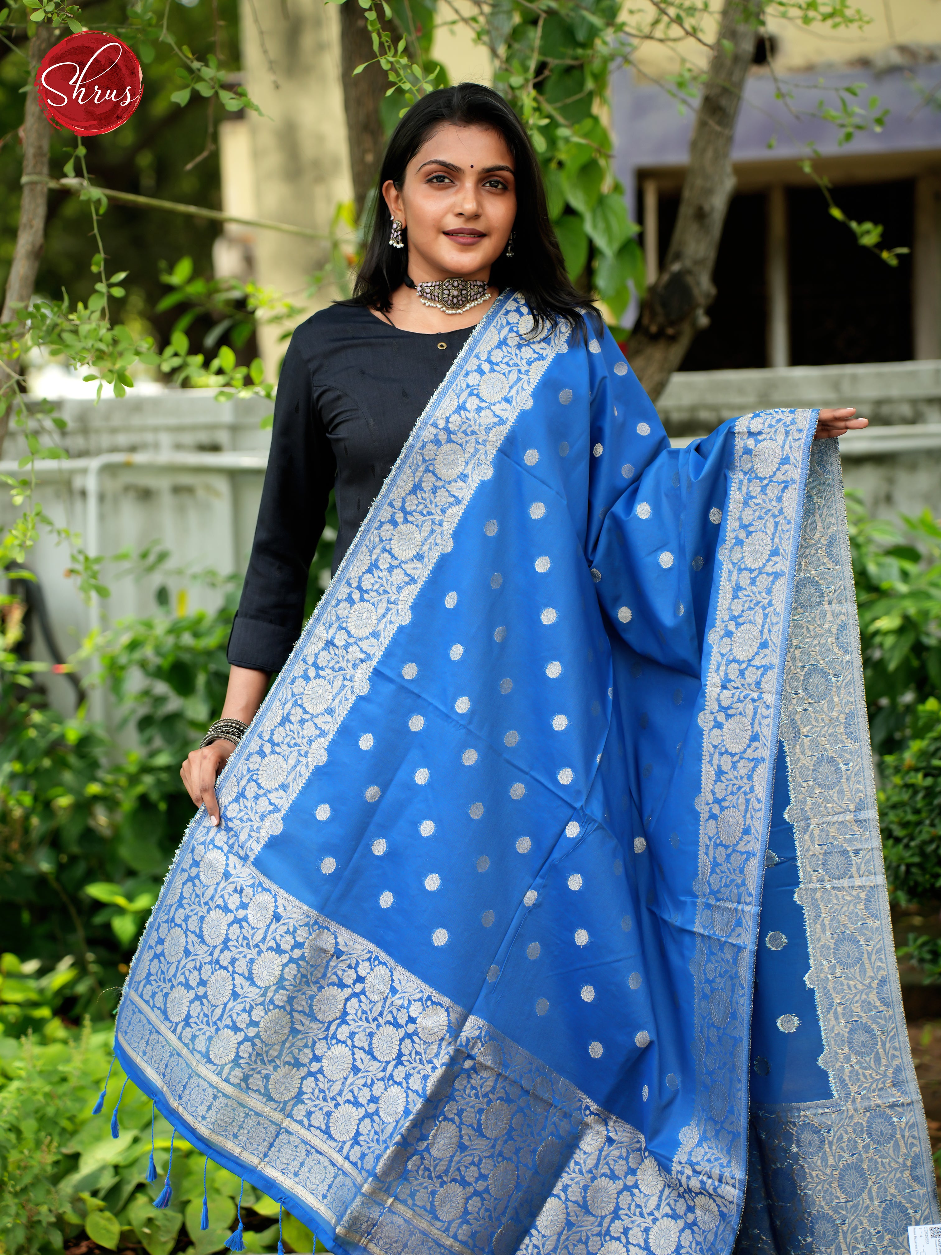 Blue - Semi Banarasi Dupatta - Shop on ShrusEternity.com