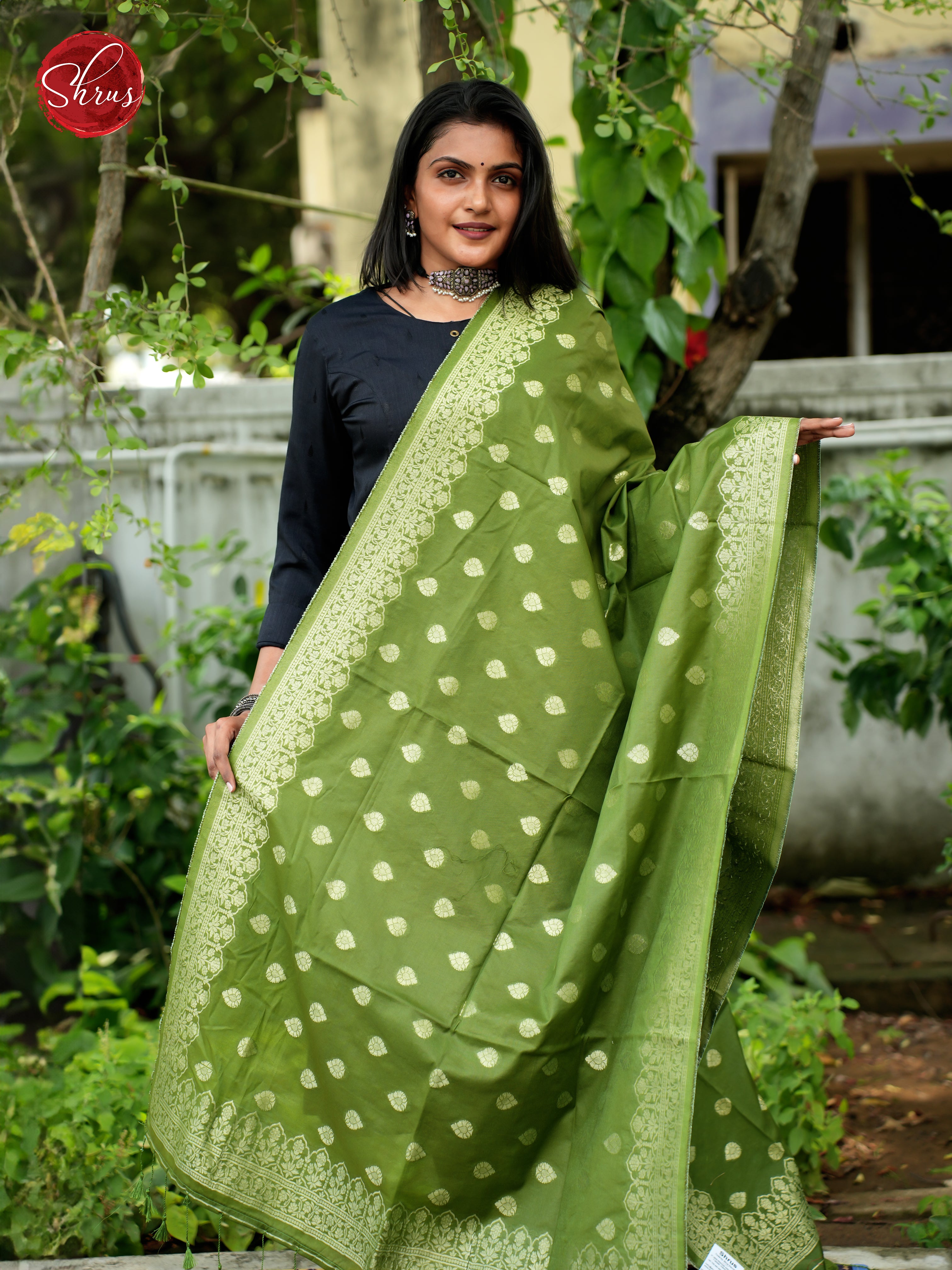 Green - Semi Banarasi Dupatta - Shop on ShrusEternity.com